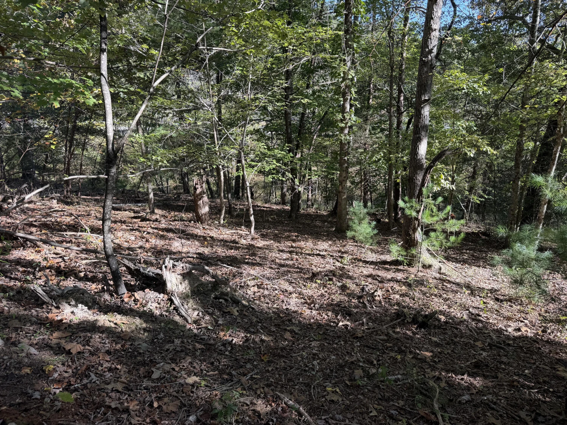 0 Yellow Mountain RD - Photo 4
