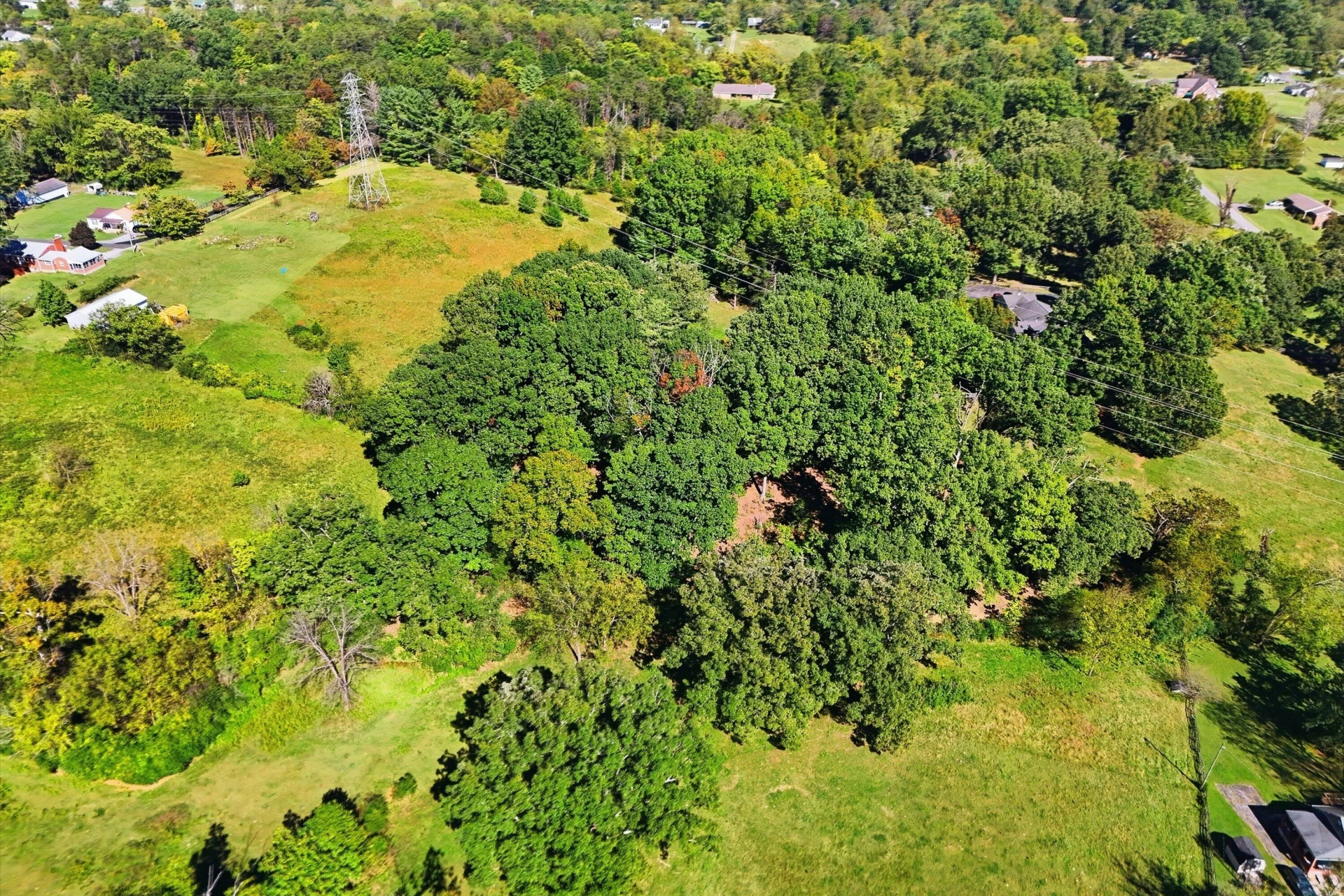 4840 Branch RD - Photo 69
