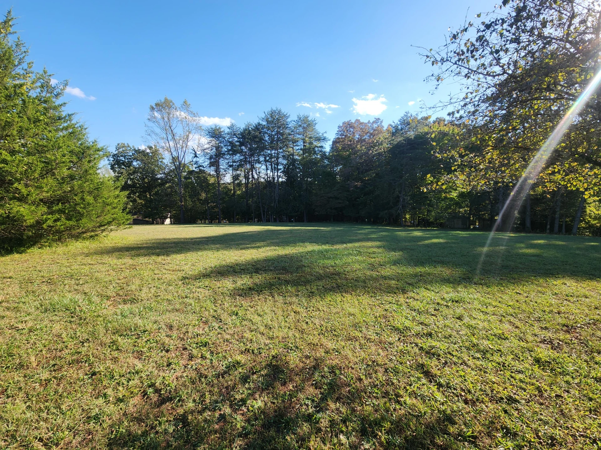 382 Ponderosa DR - Photo 2