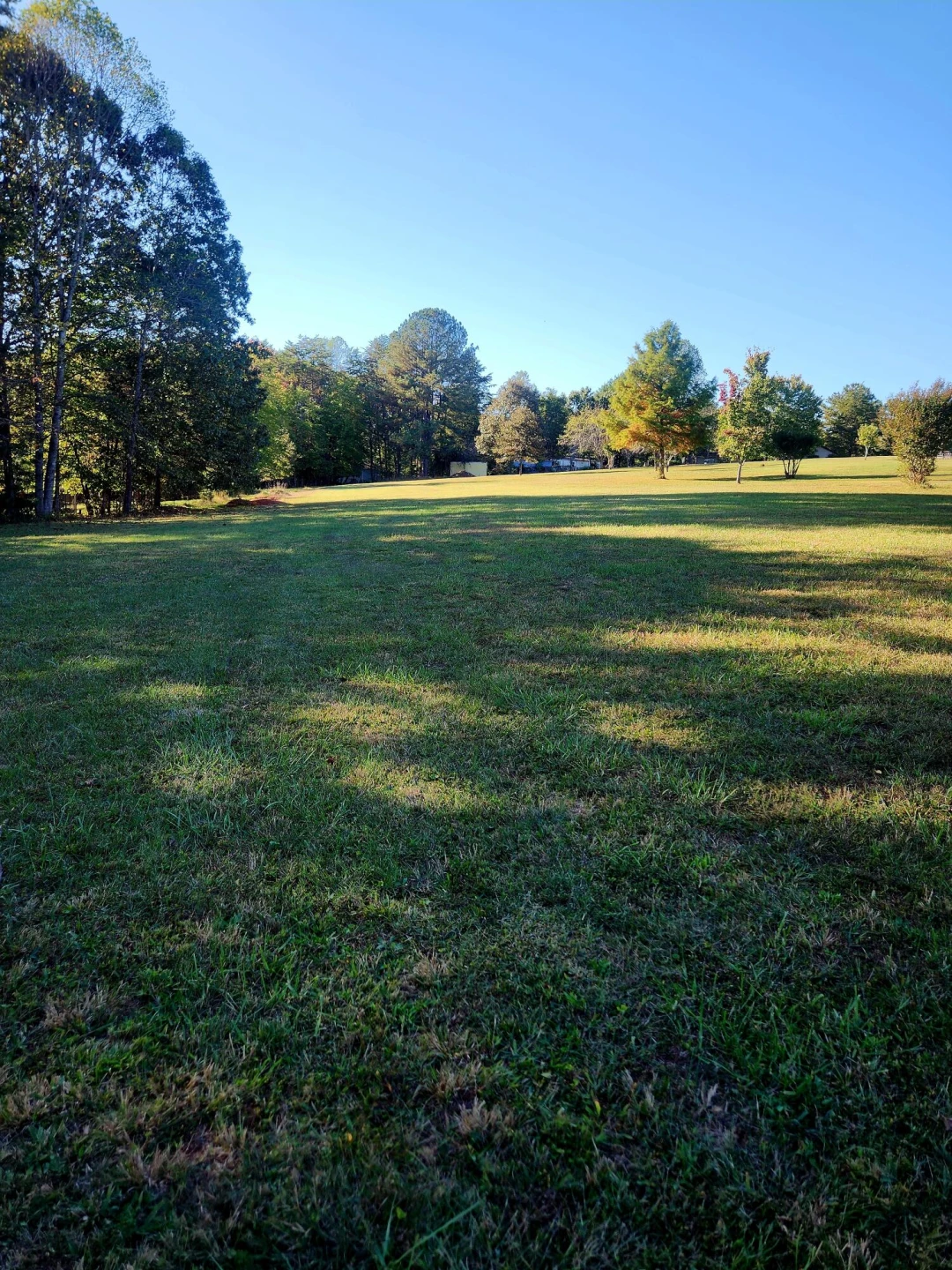 382 Ponderosa DR - Photo 7