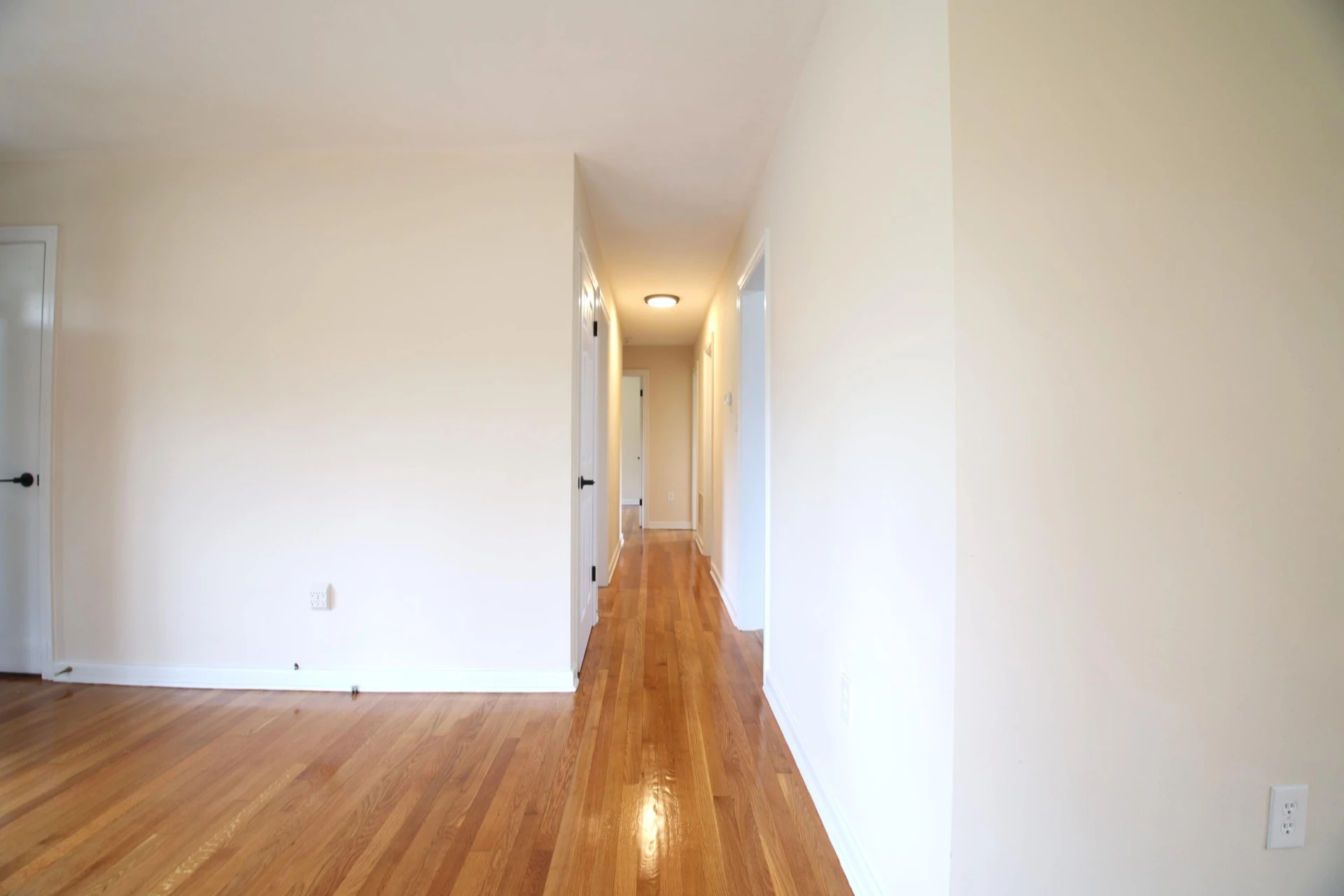 6329 N Barrens RD - Photo 3