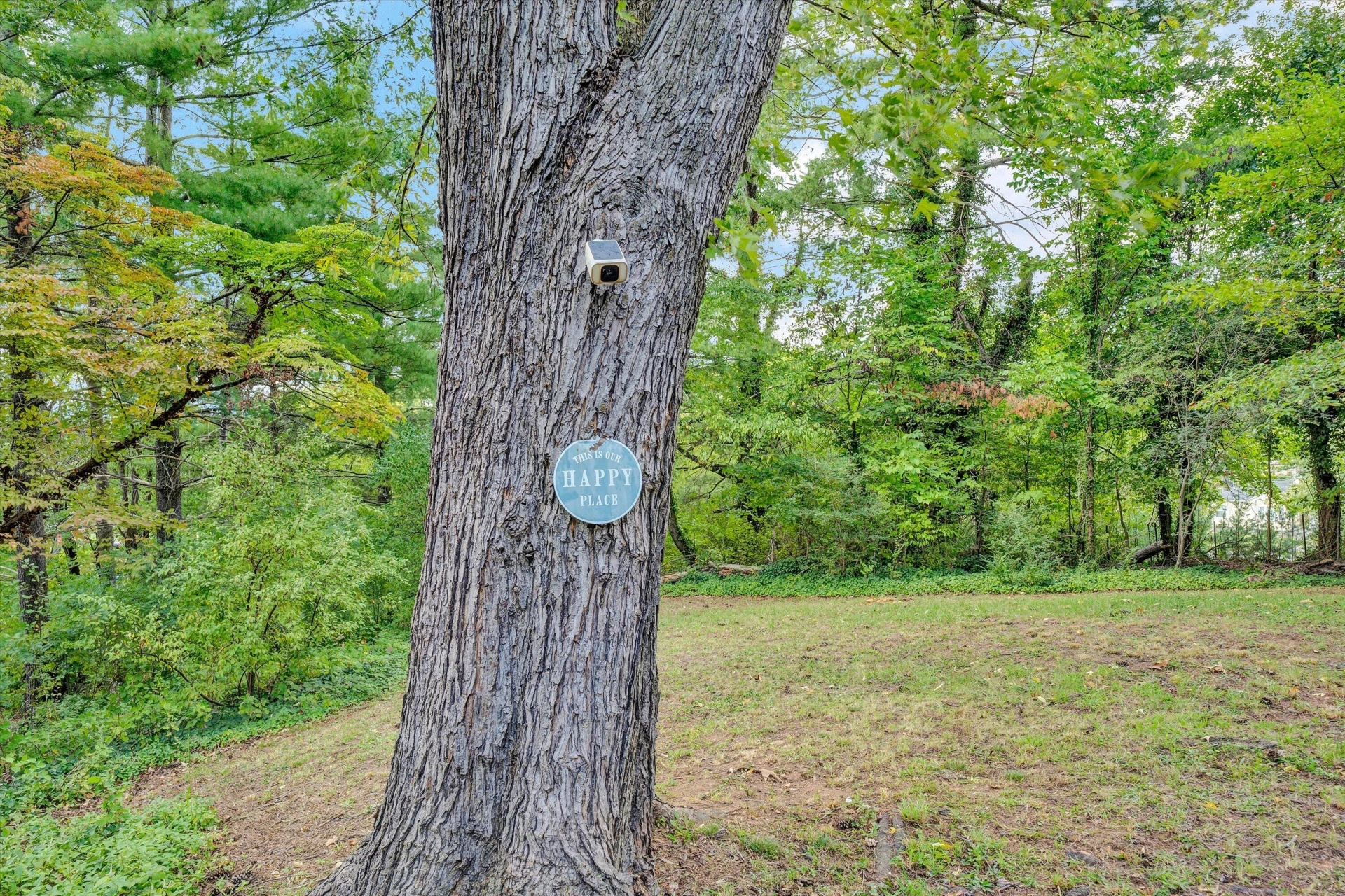 324 Jamie LN - Photo 40