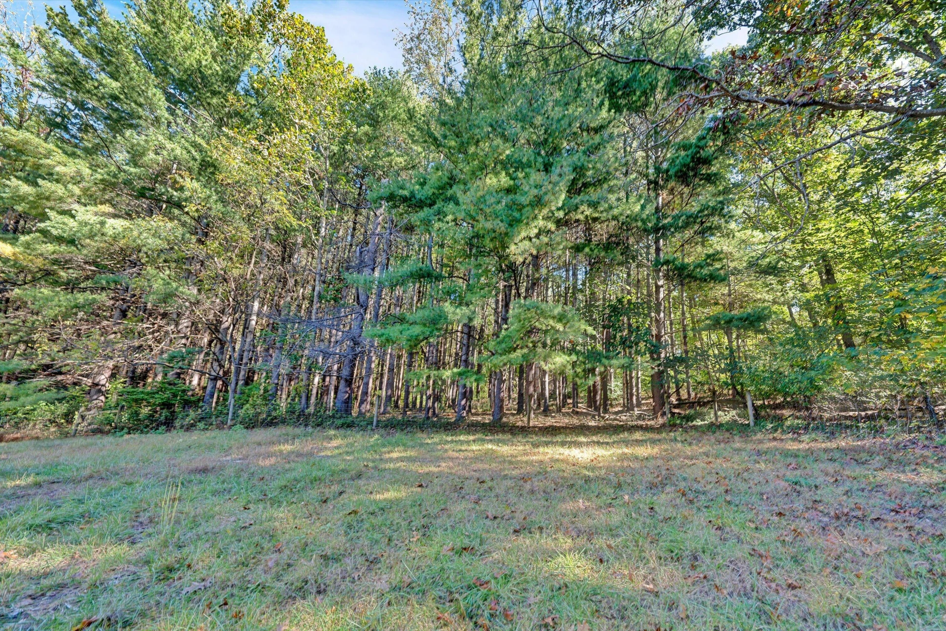 3832 Old Greenville RD - Photo 62