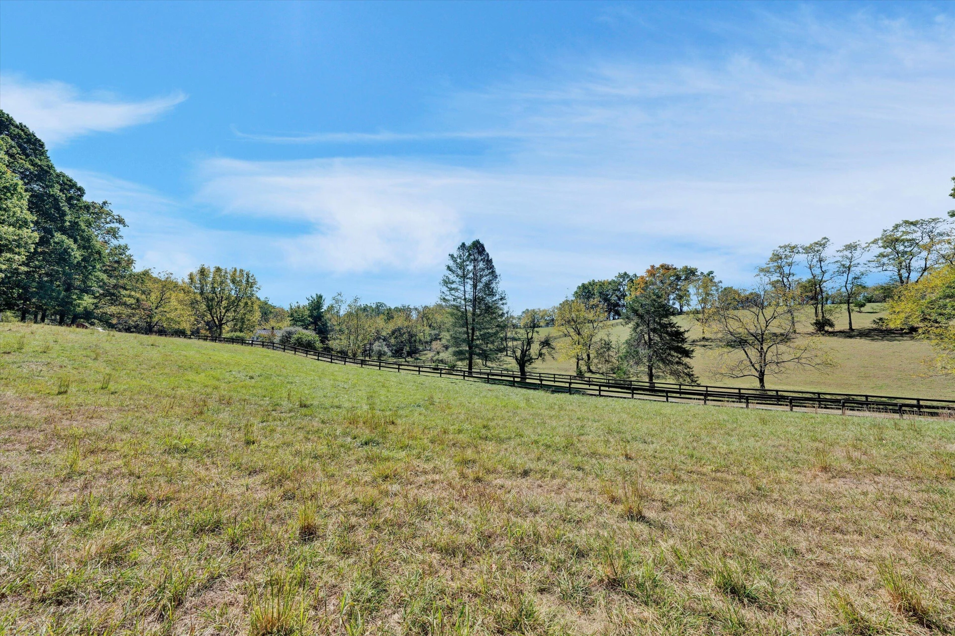 3832 Old Greenville RD - Photo 73