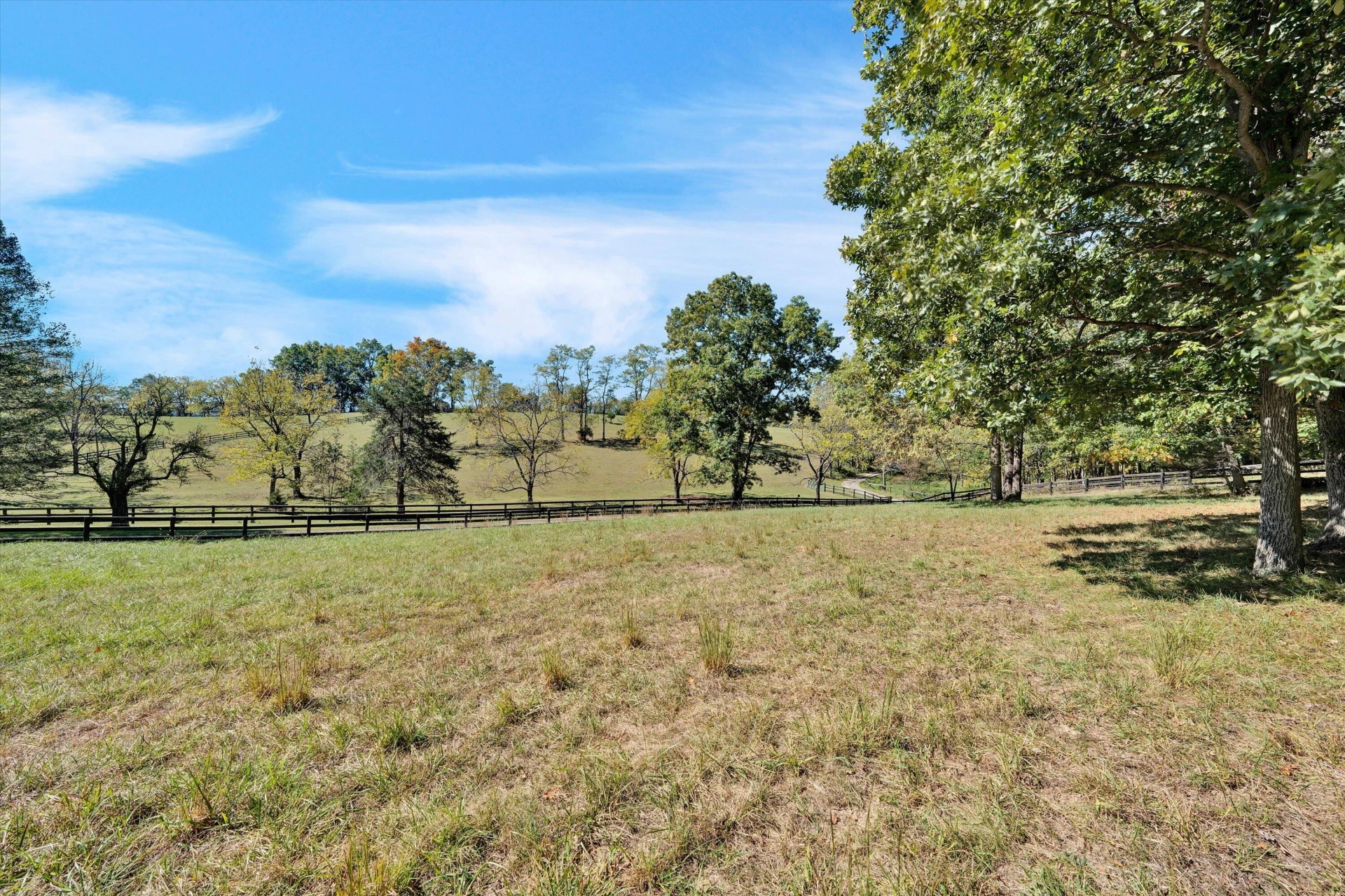 3832 Old Greenville RD - Photo 74
