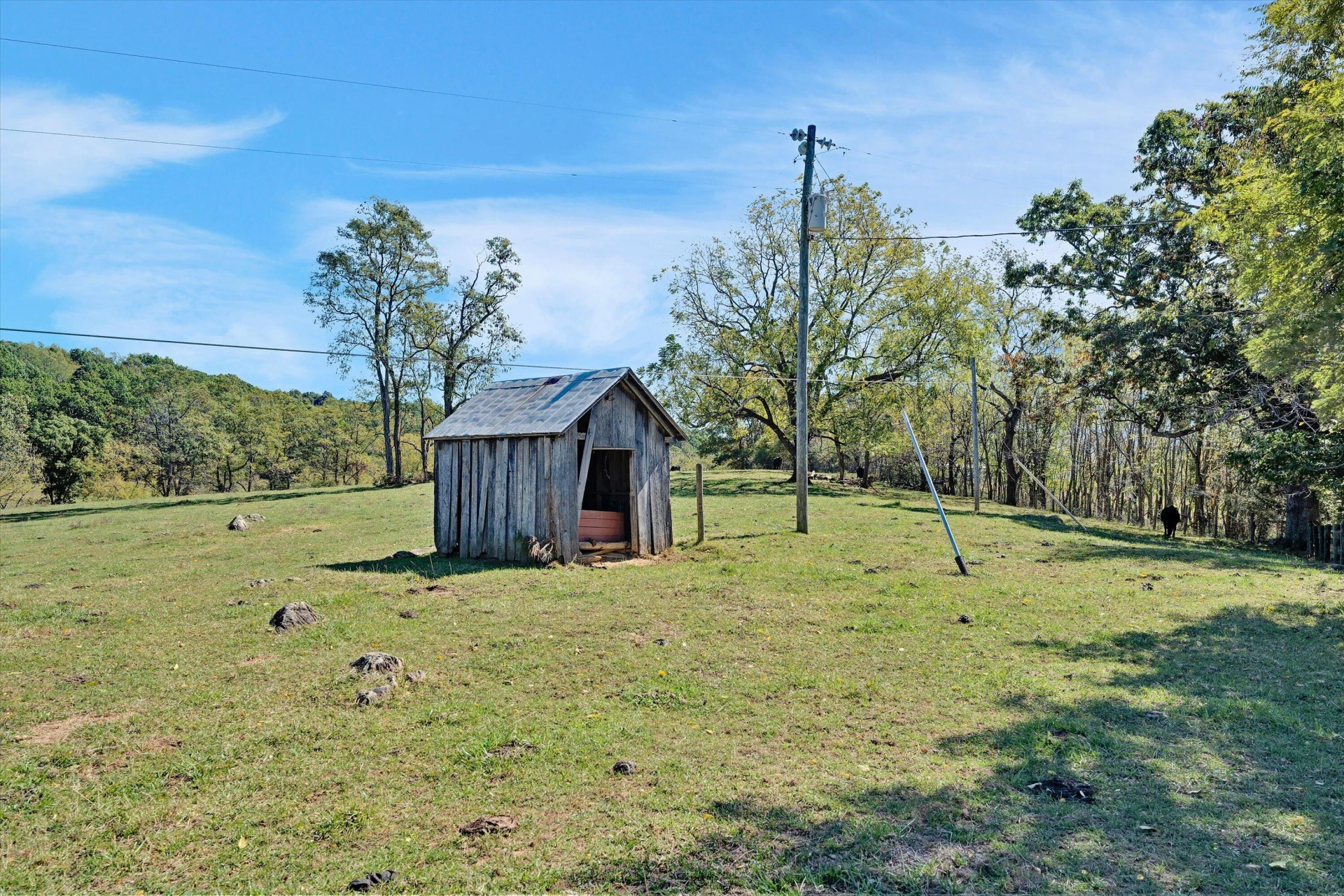 3832 Old Greenville RD - Photo 79