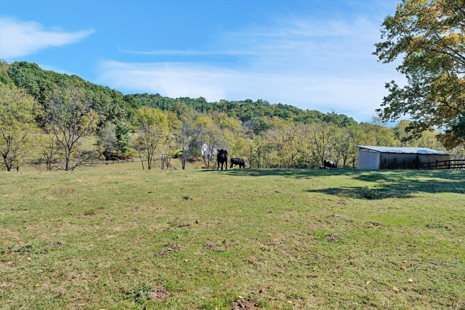 3832 Old Greenville RD - Photo 81