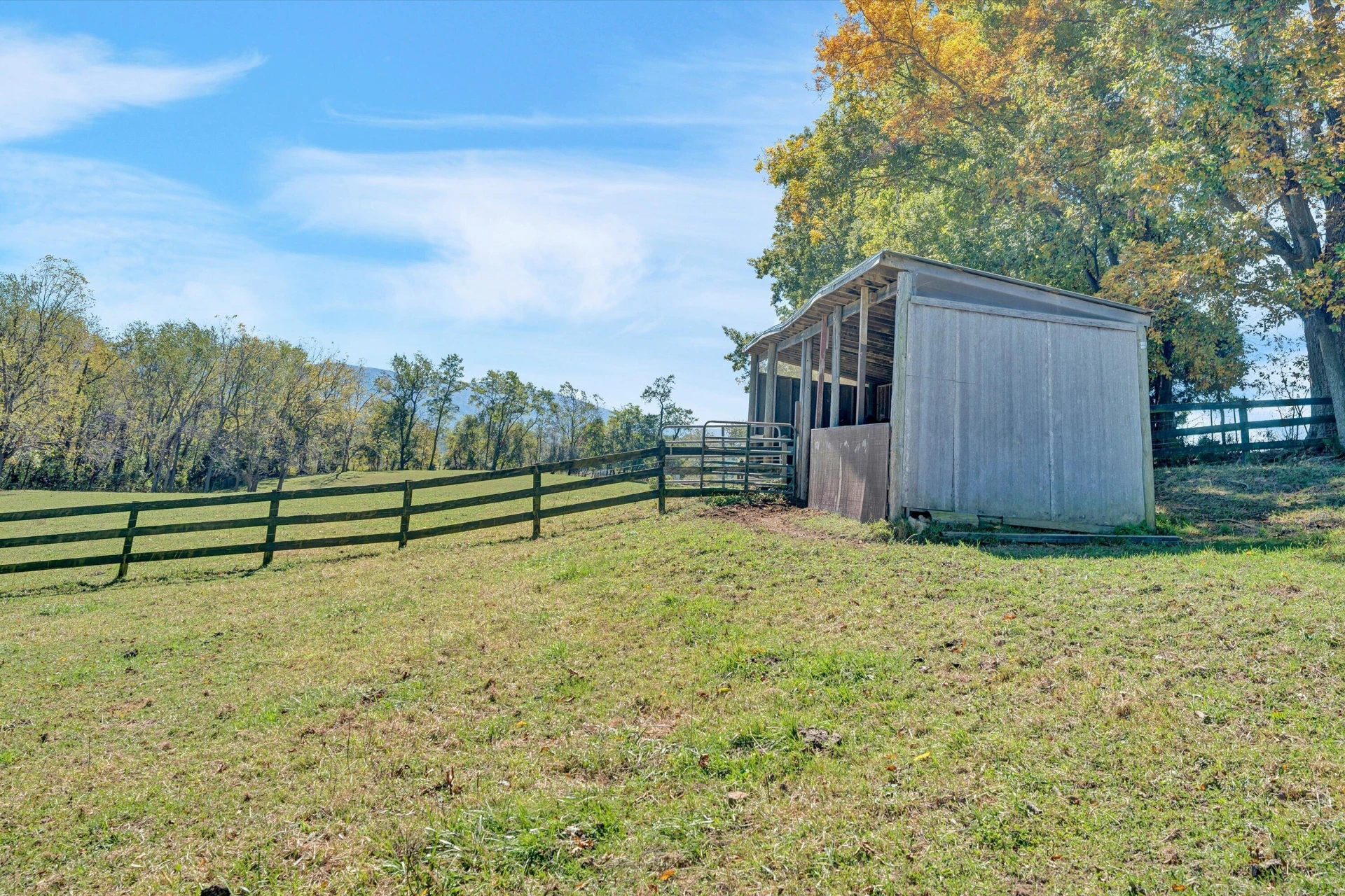 3832 Old Greenville RD - Photo 83