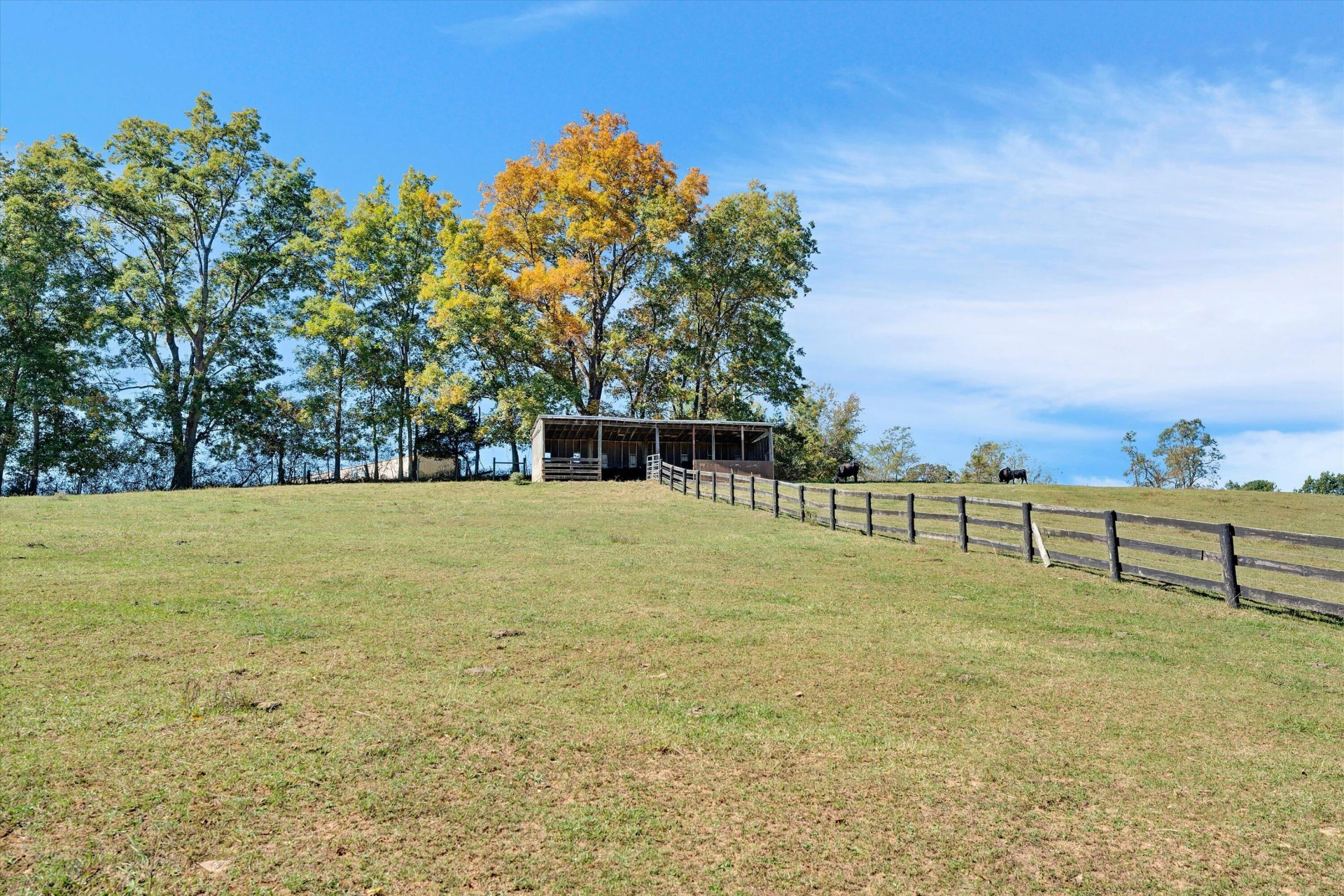3832 Old Greenville RD - Photo 84