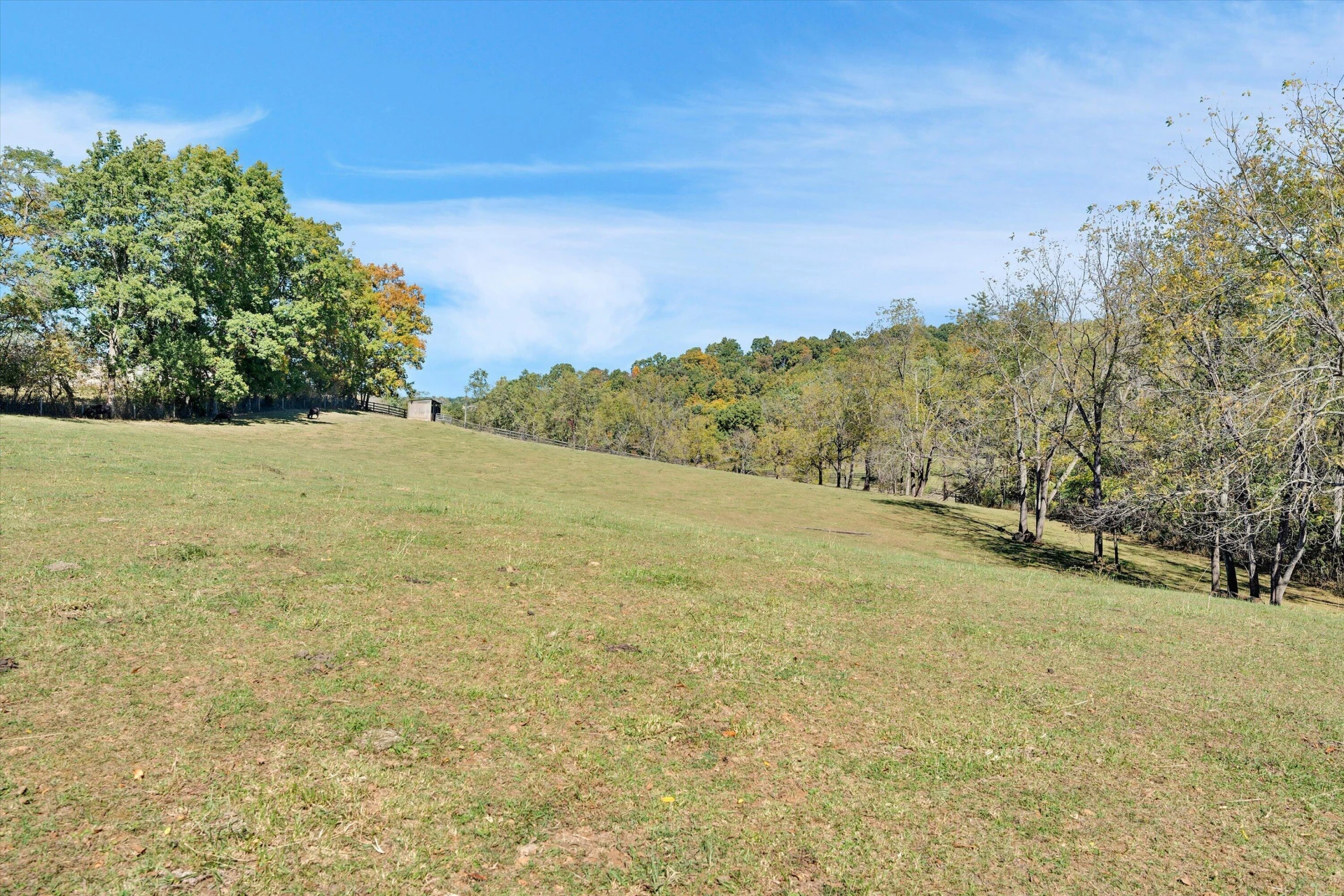 3832 Old Greenville RD - Photo 85