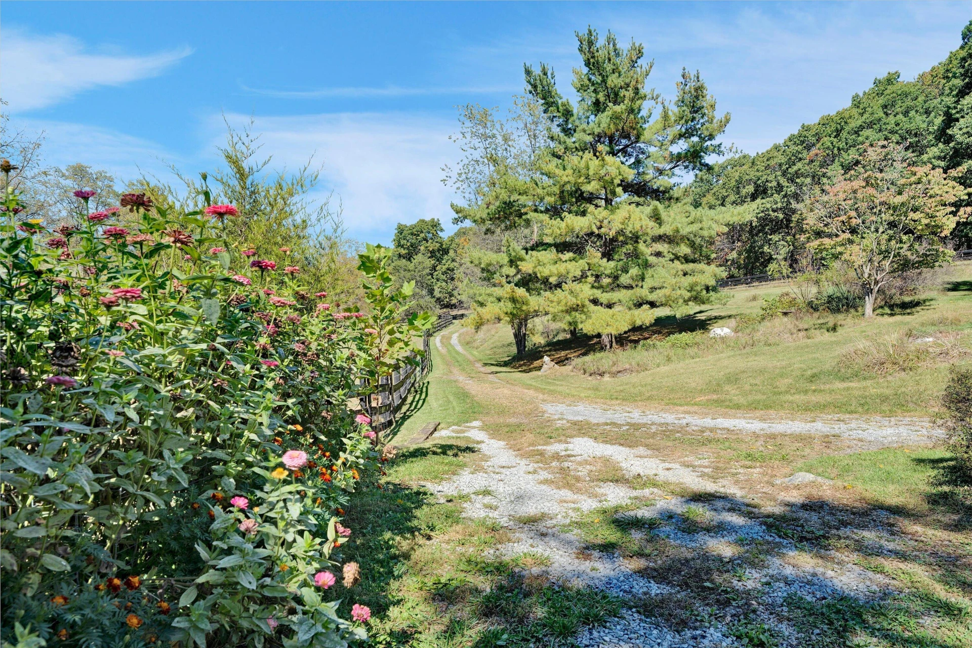 3832 Old Greenville RD - Photo 87