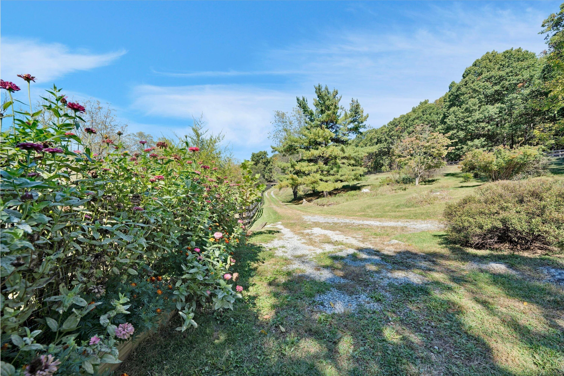 3832 Old Greenville RD - Photo 88