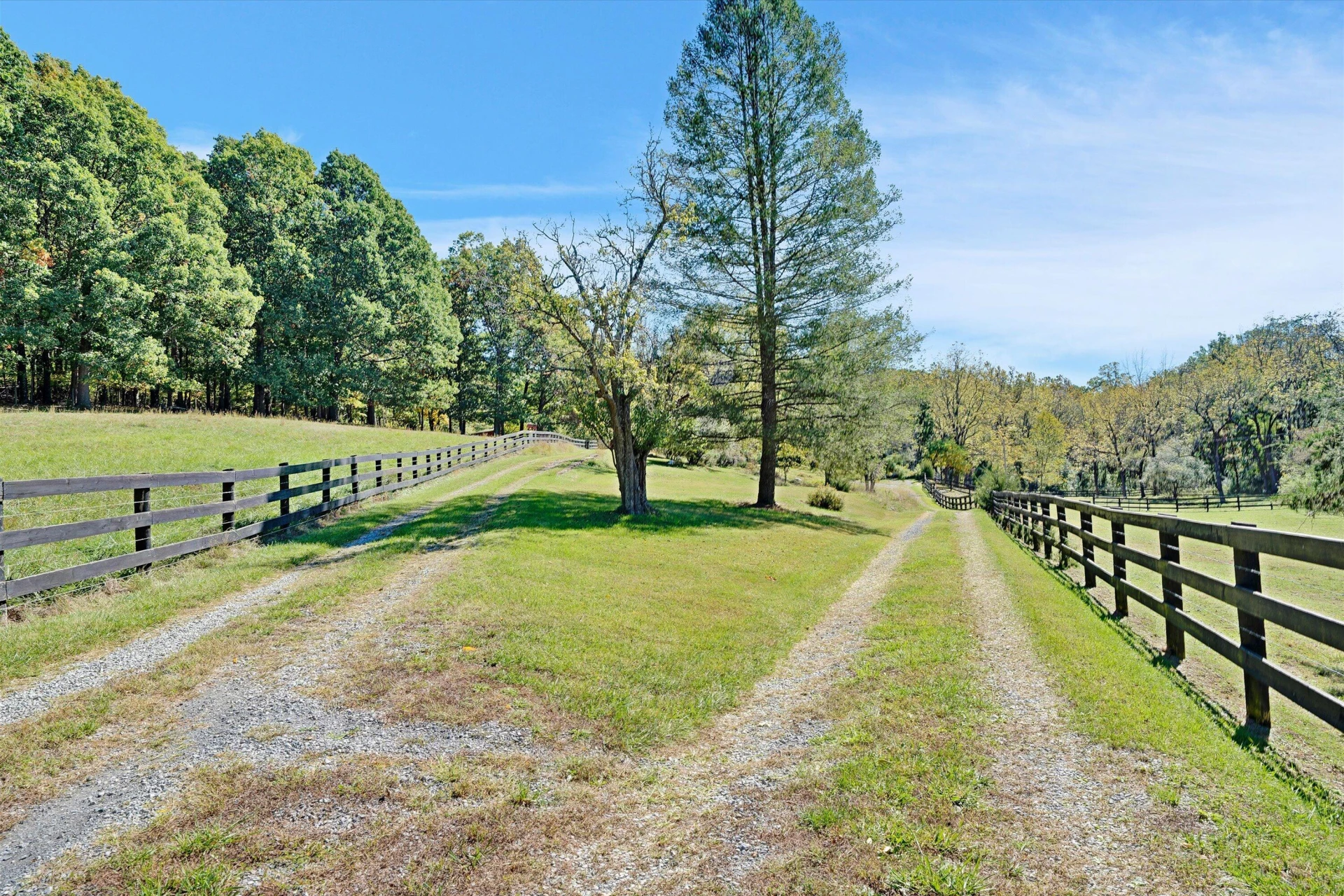 3832 Old Greenville RD - Photo 90