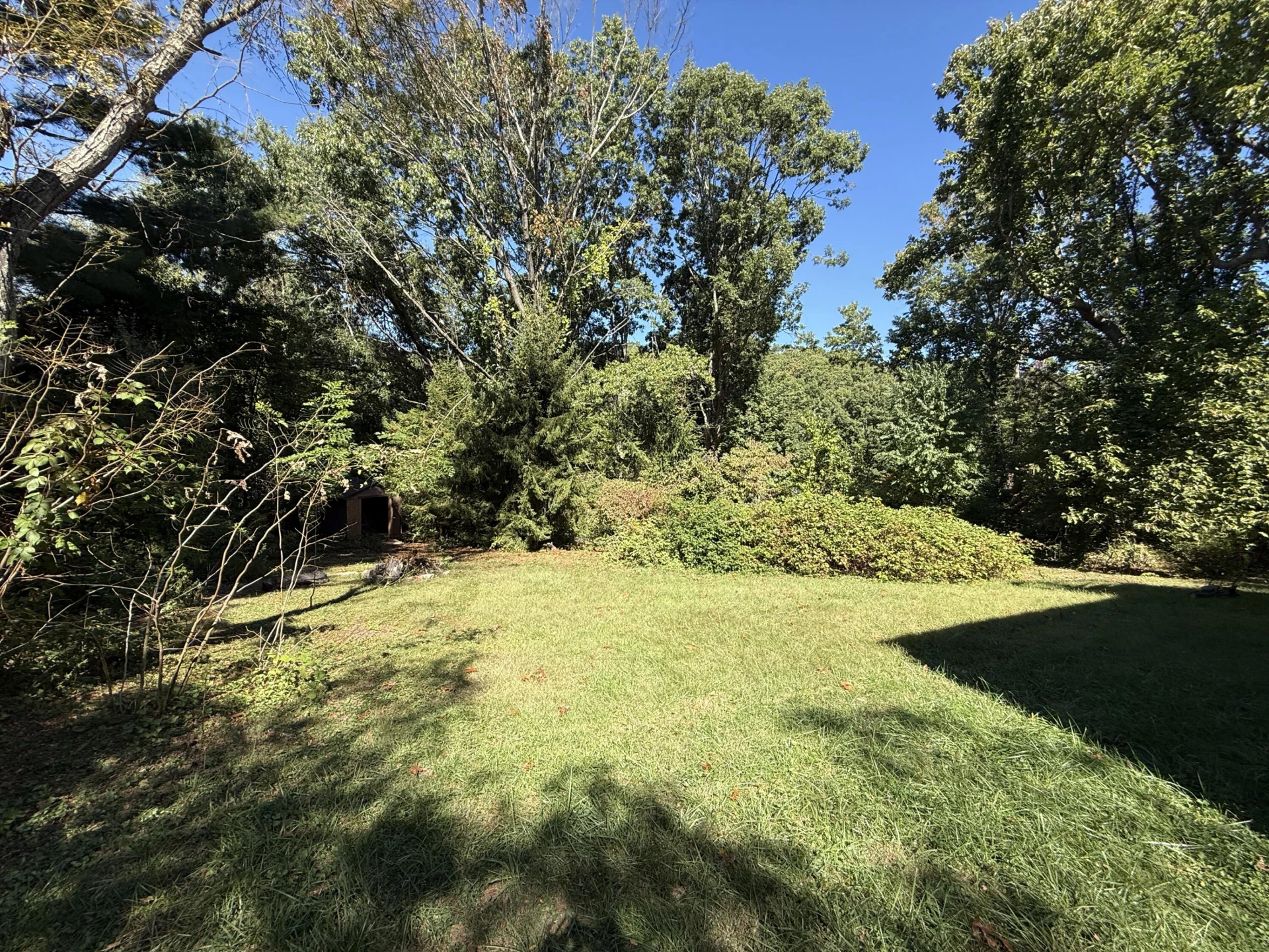 1100 Scott ST - Photo 6