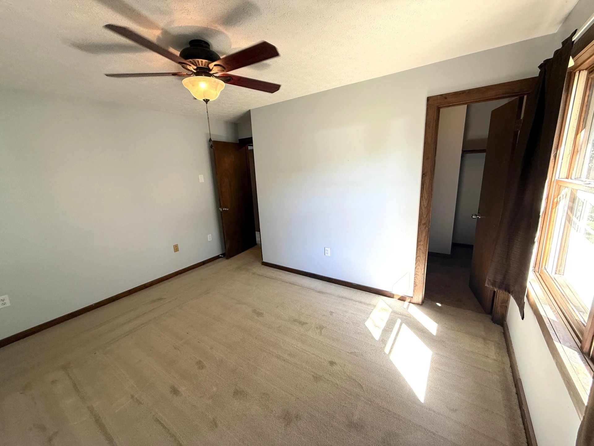 1100 Scott ST - Photo 12
