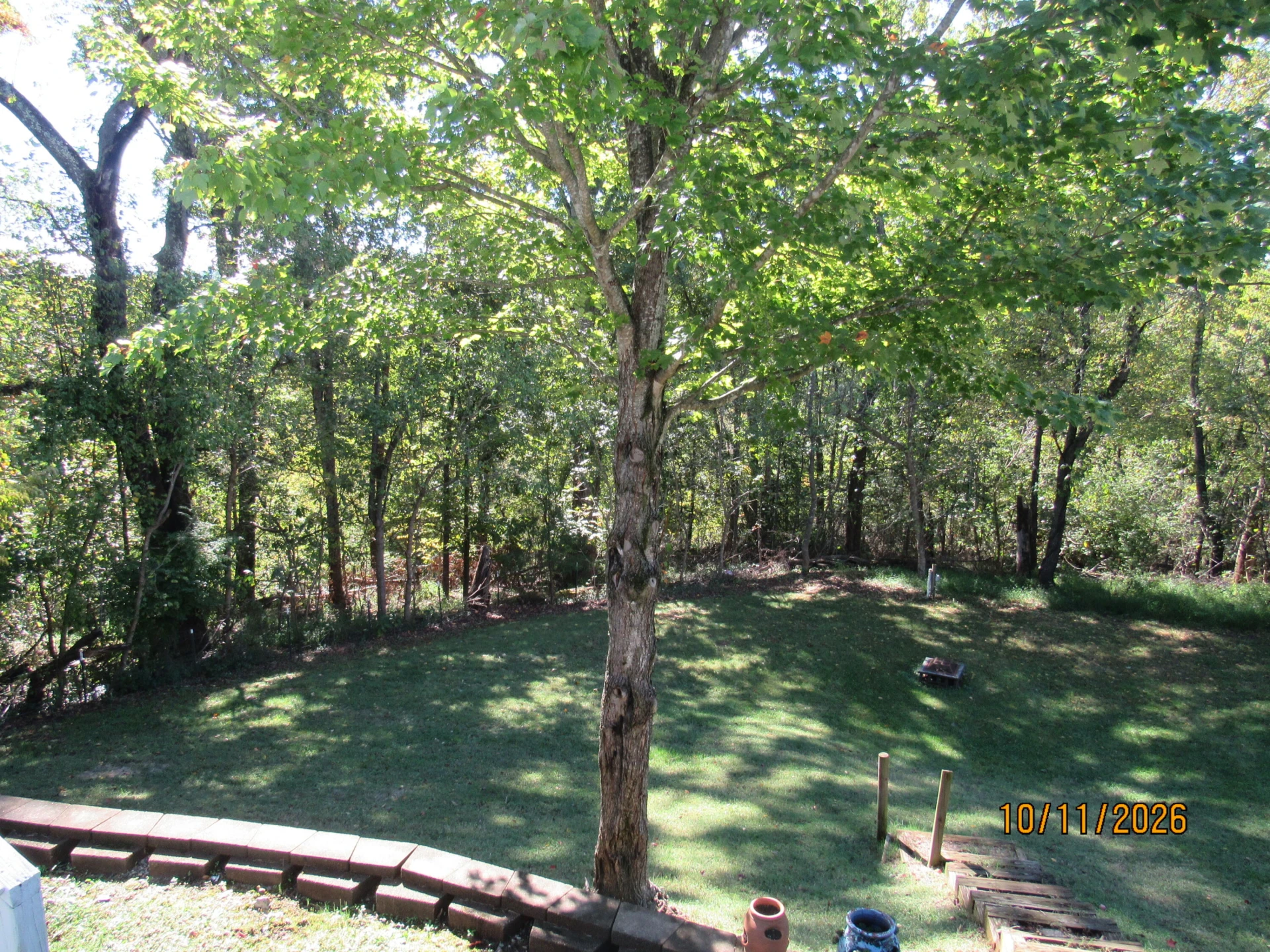 2009 Elizabeth DR - Photo 26