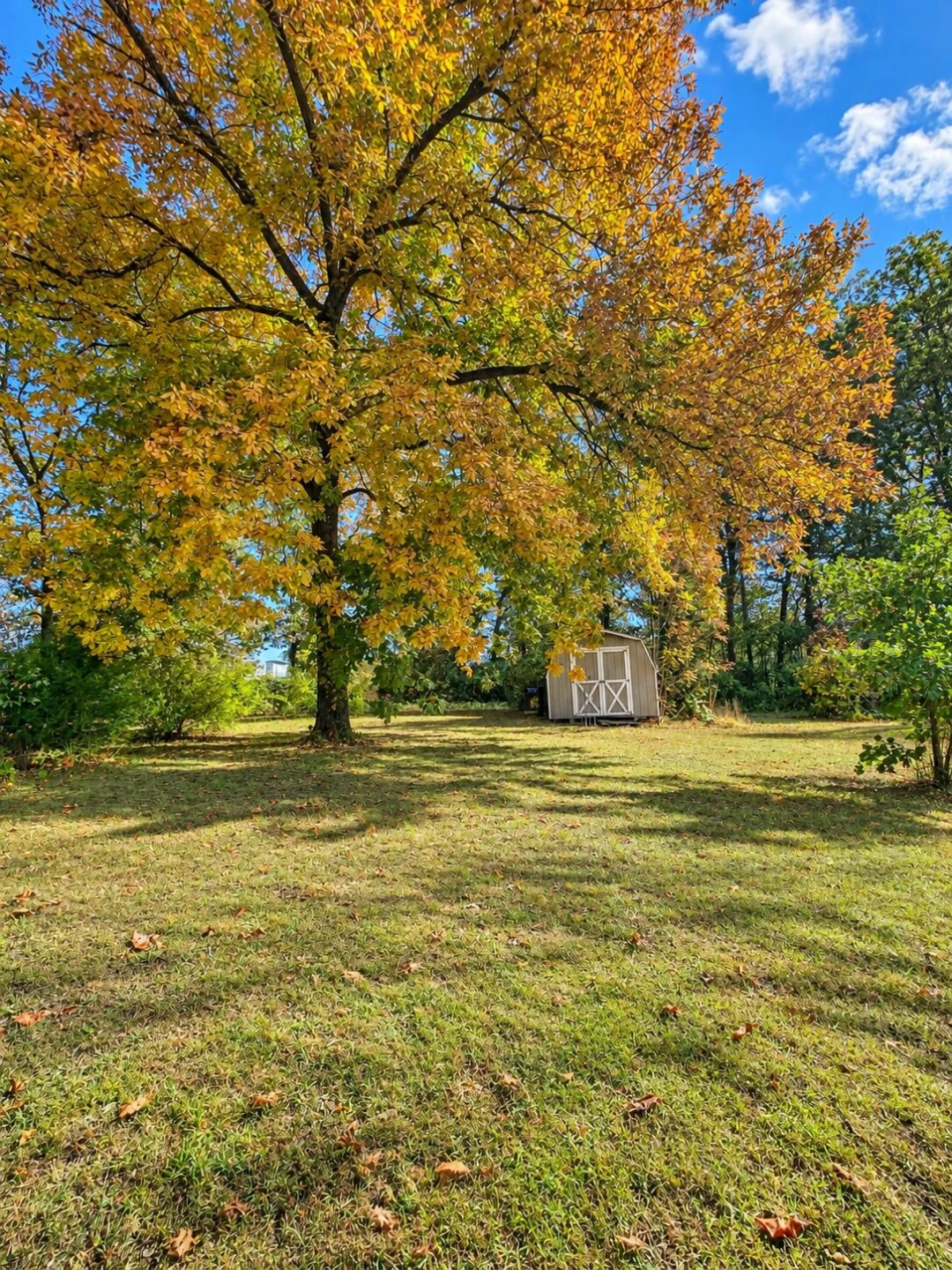 208 Meadowdale RD - Photo 6