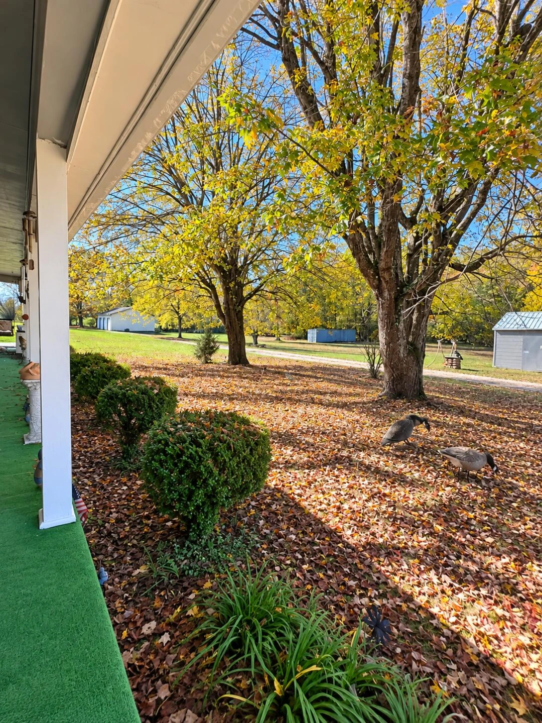 208 Meadowdale RD - Photo 8