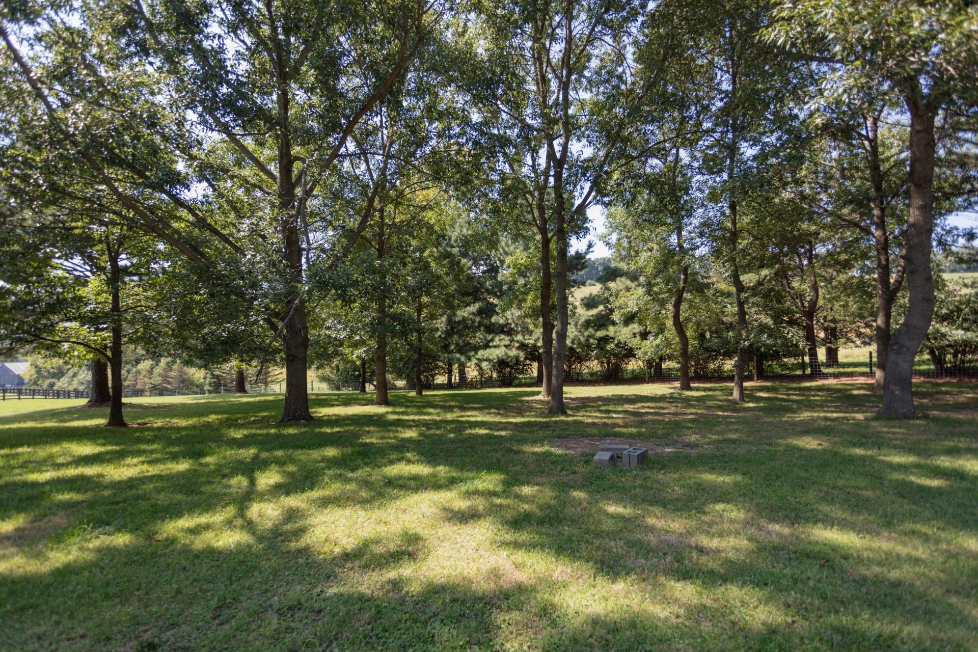 307 Swope Ln - Photo 79