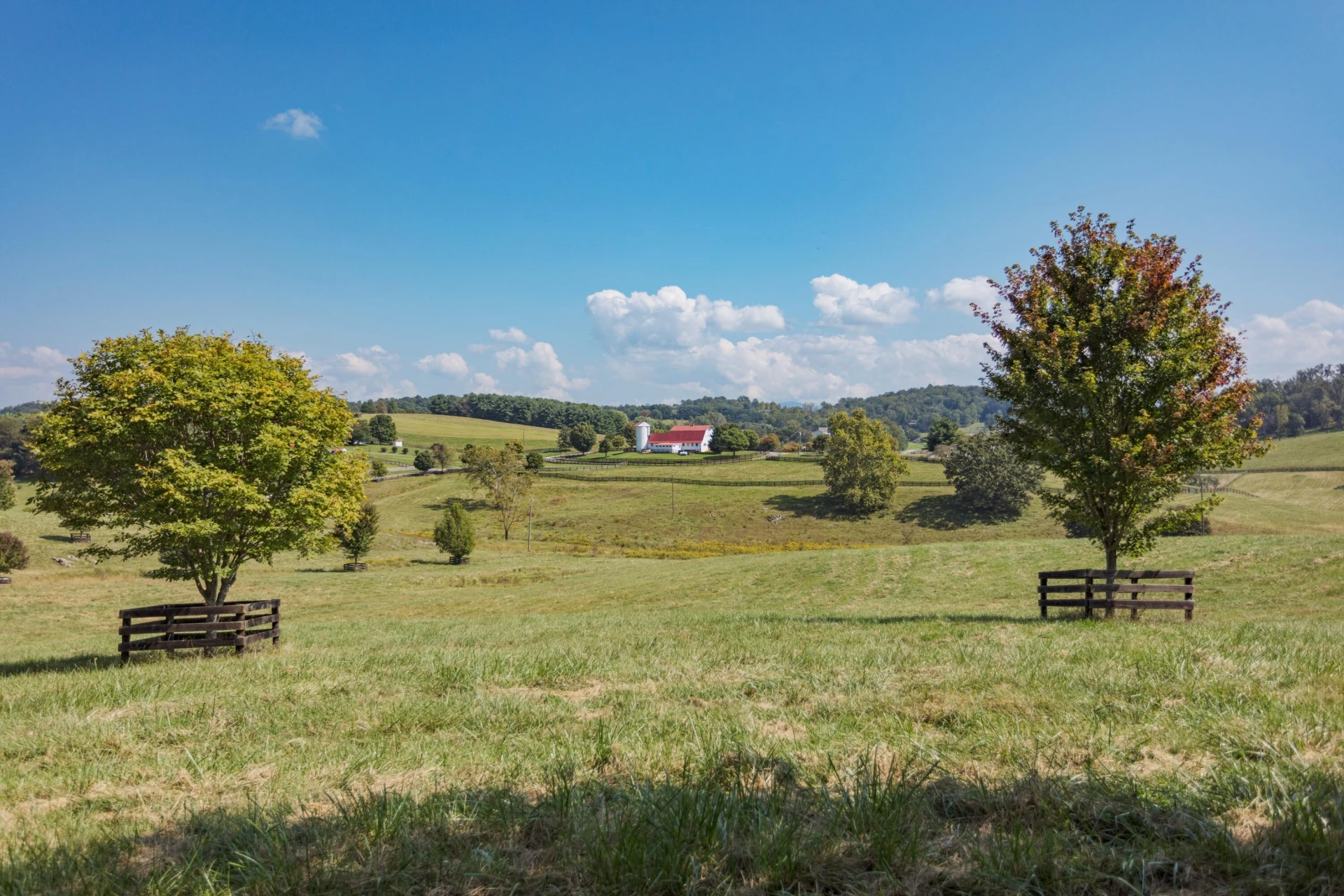 307 Swope Ln - Photo 80
