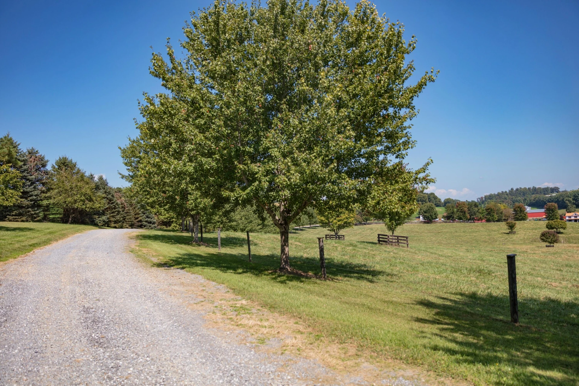 307 Swope Ln - Photo 81