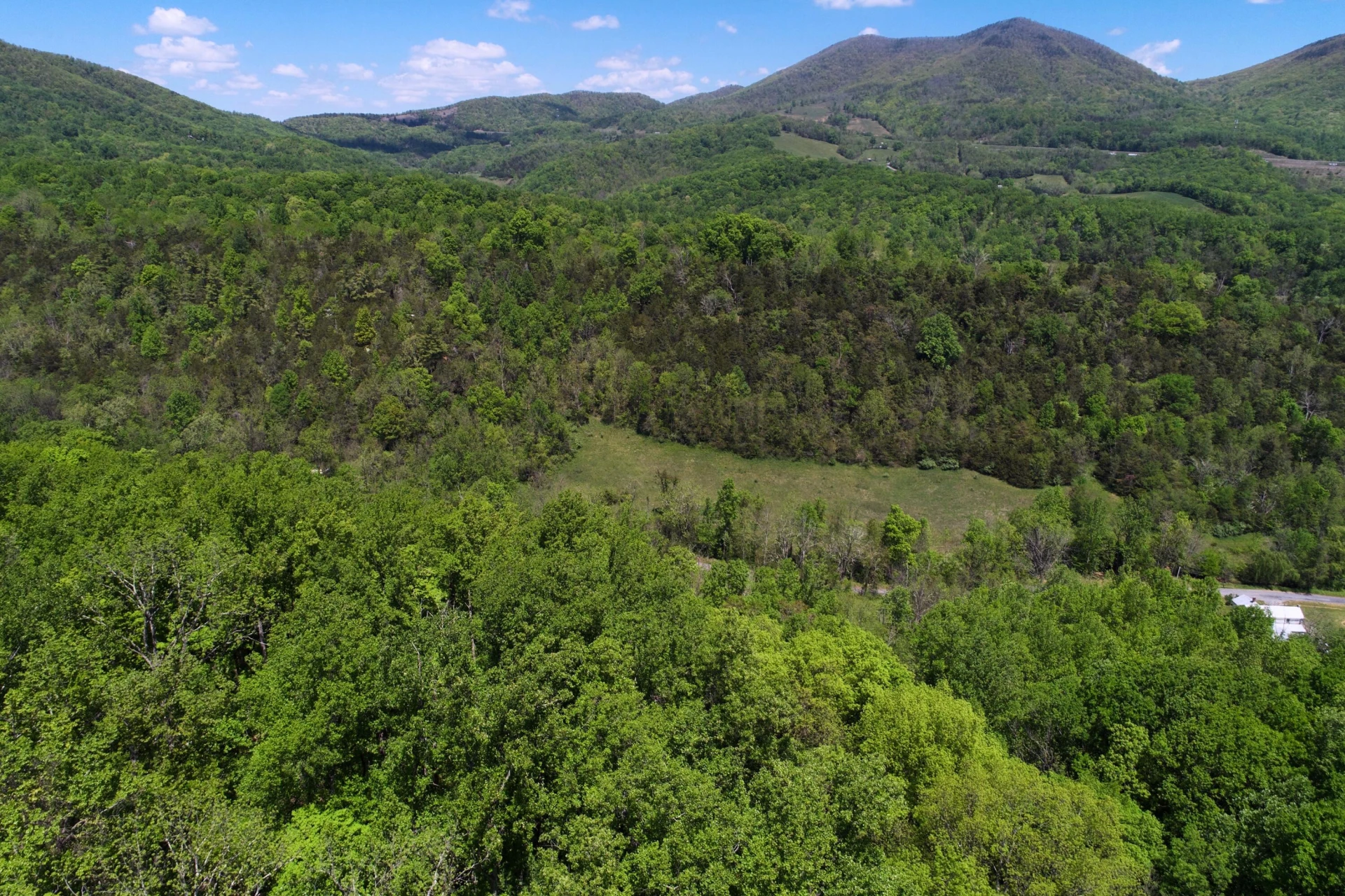 42.63 ac. Waterloo Dr - Photo 11