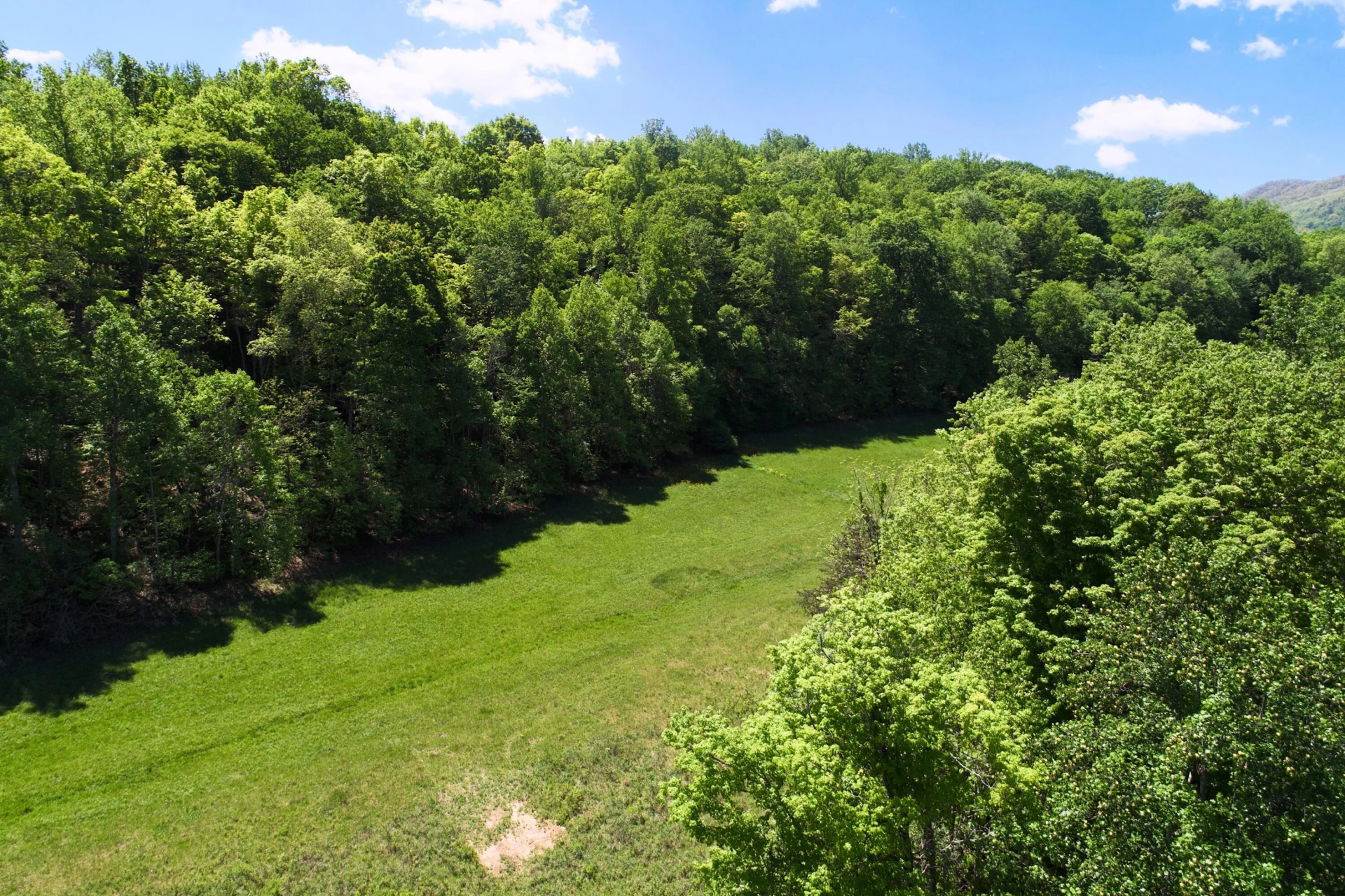 42.63 ac. Waterloo Dr - Photo 12