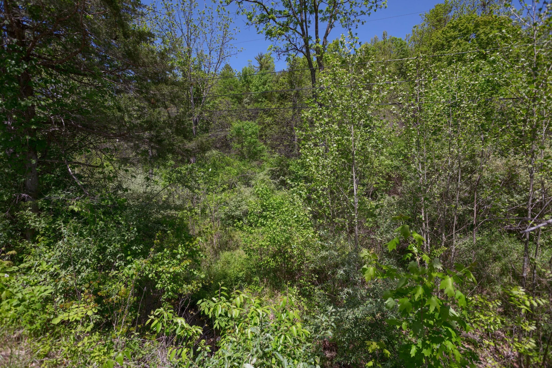 42.63 ac. Waterloo Dr - Photo 15