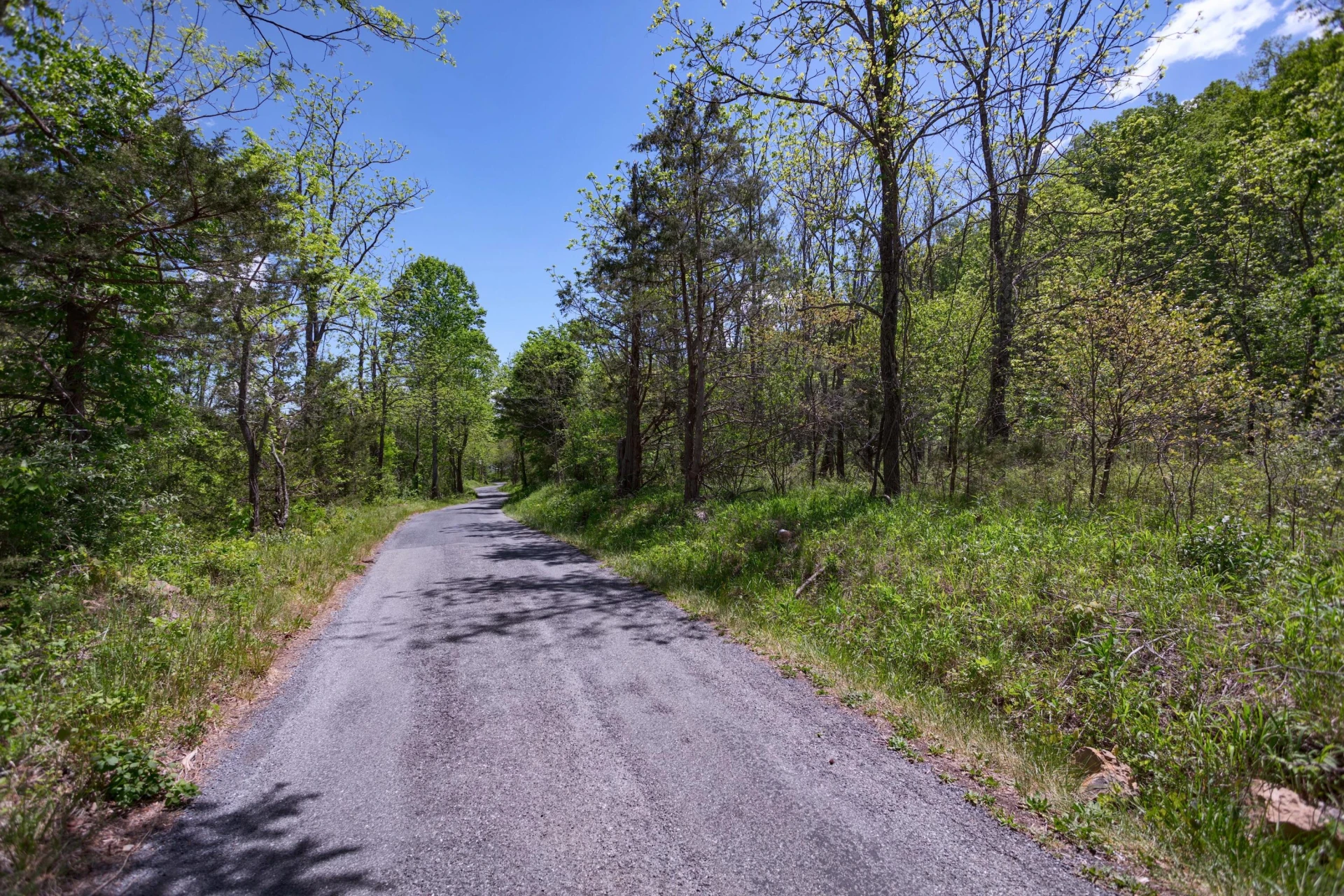 42.63 ac. Waterloo Dr - Photo 19