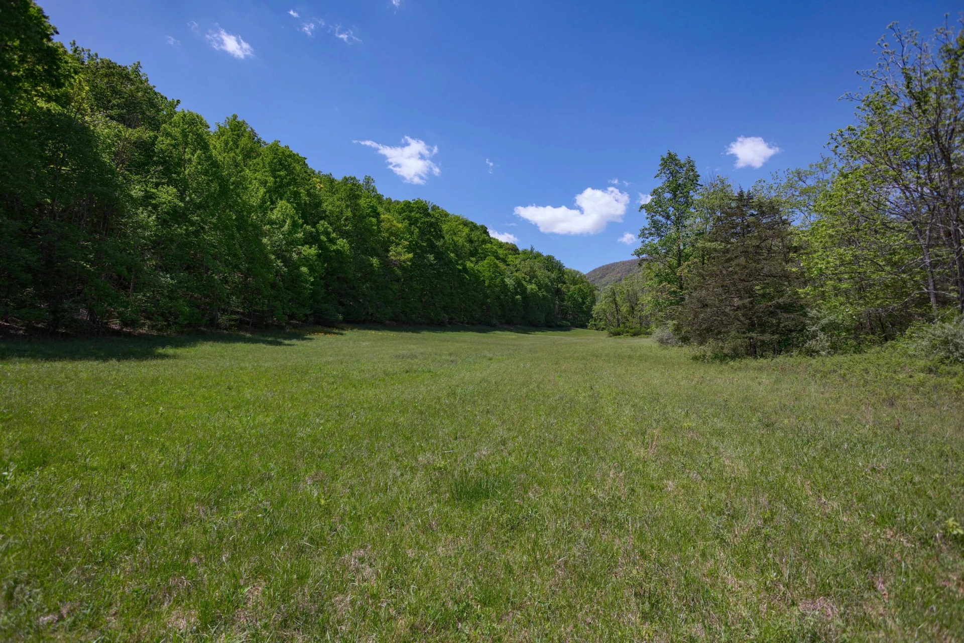 42.63 ac. Waterloo Dr - Photo 2