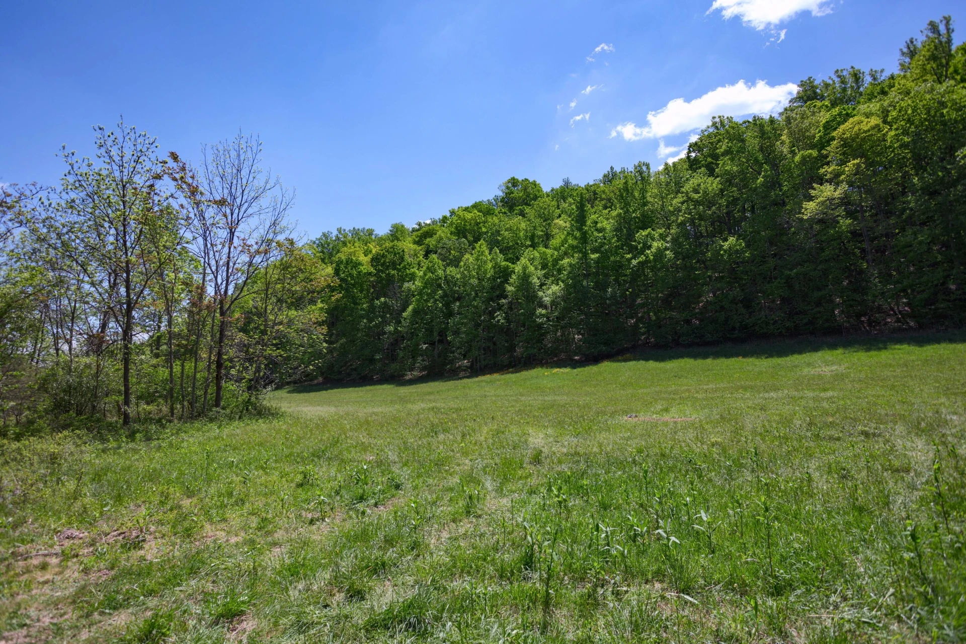 42.63 ac. Waterloo Dr - Photo 3