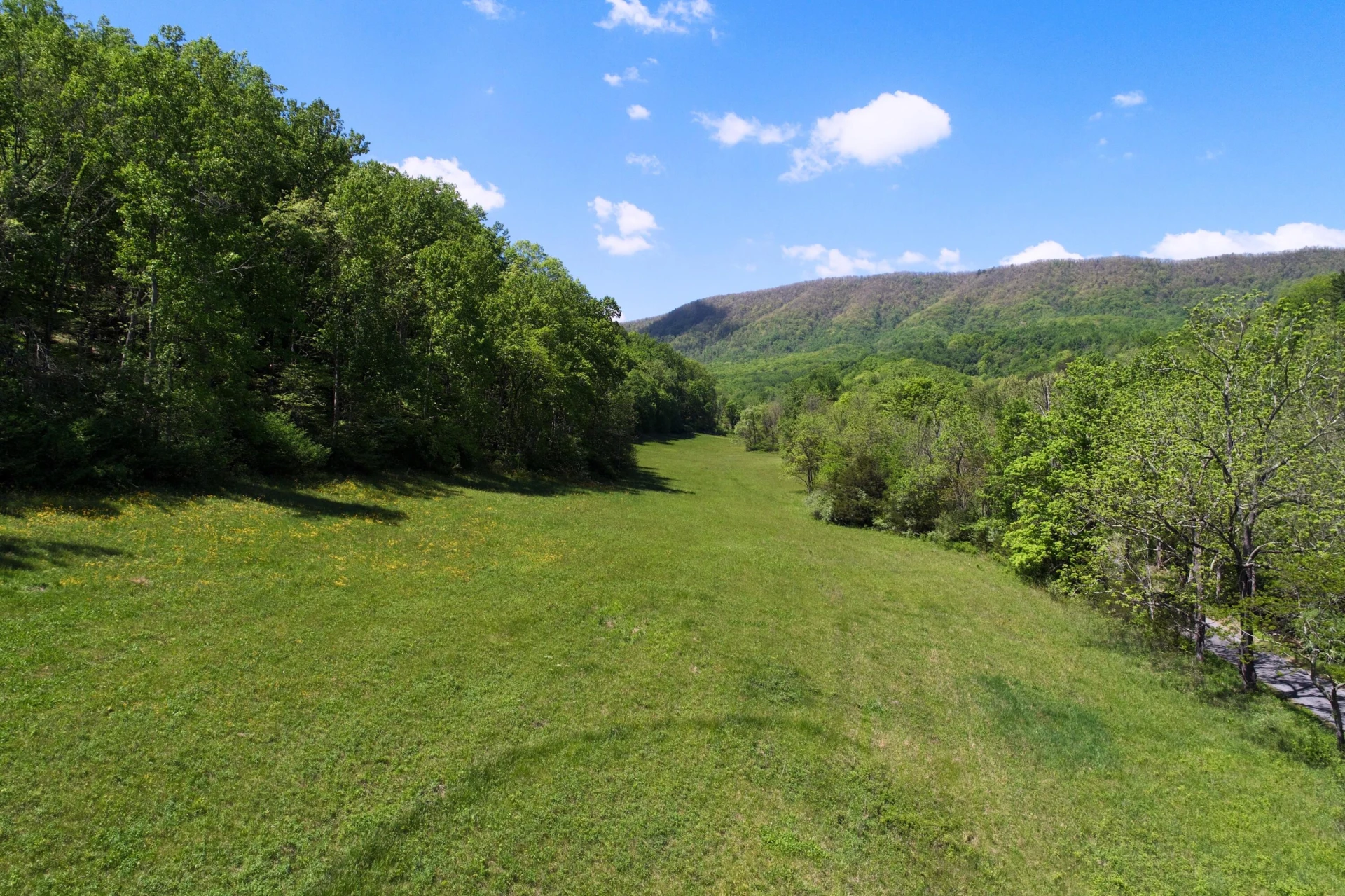 42.63 ac. Waterloo Dr - Photo 5