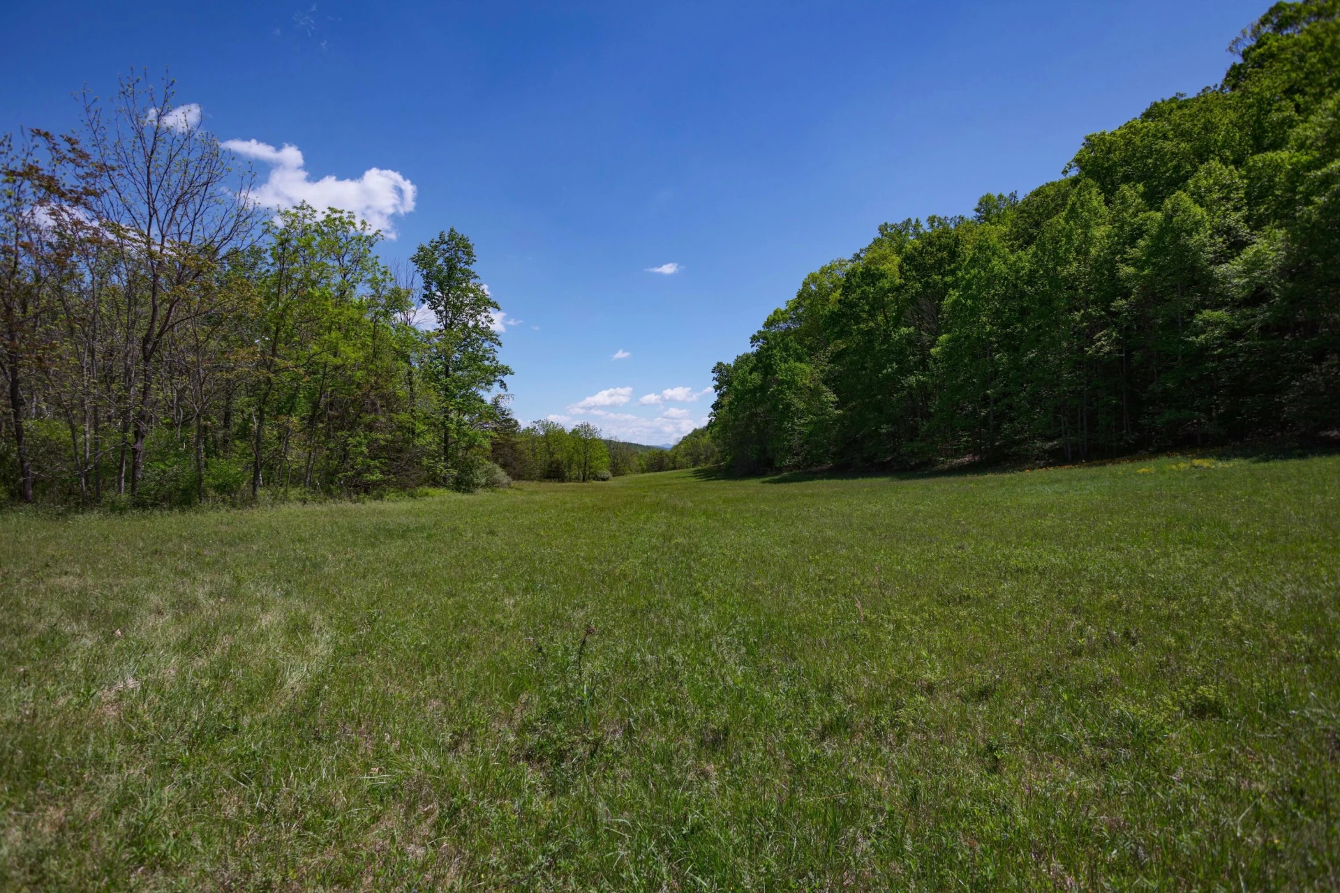 42.63 ac. Waterloo Dr - Photo 6