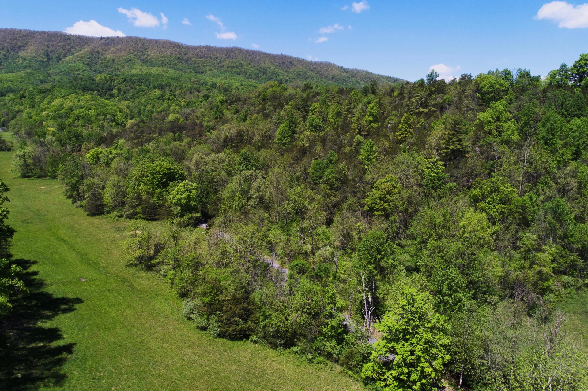 42.63 ac. Waterloo Dr - Photo 7
