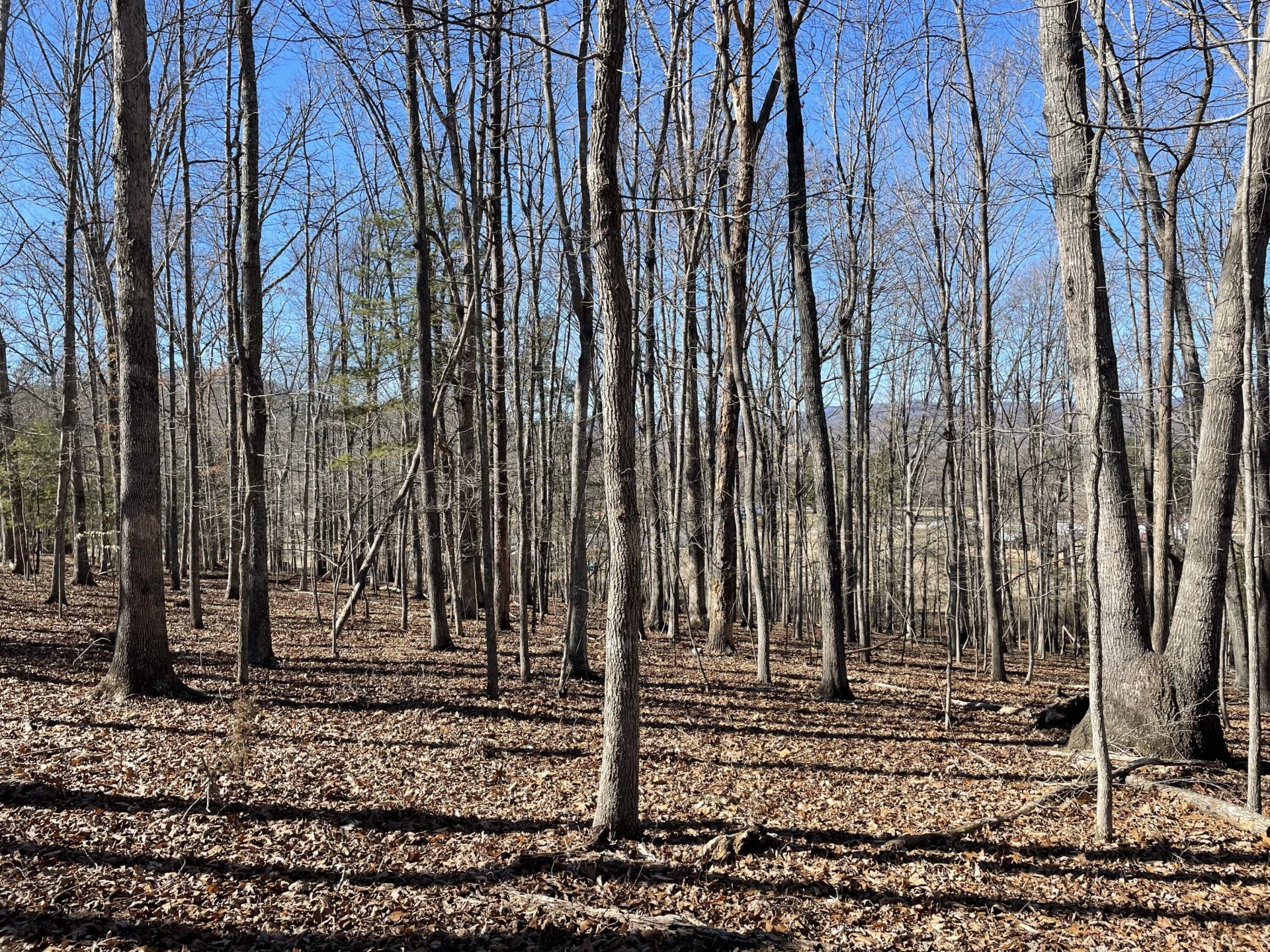 Lot 14 - Jeb Stuart Dr