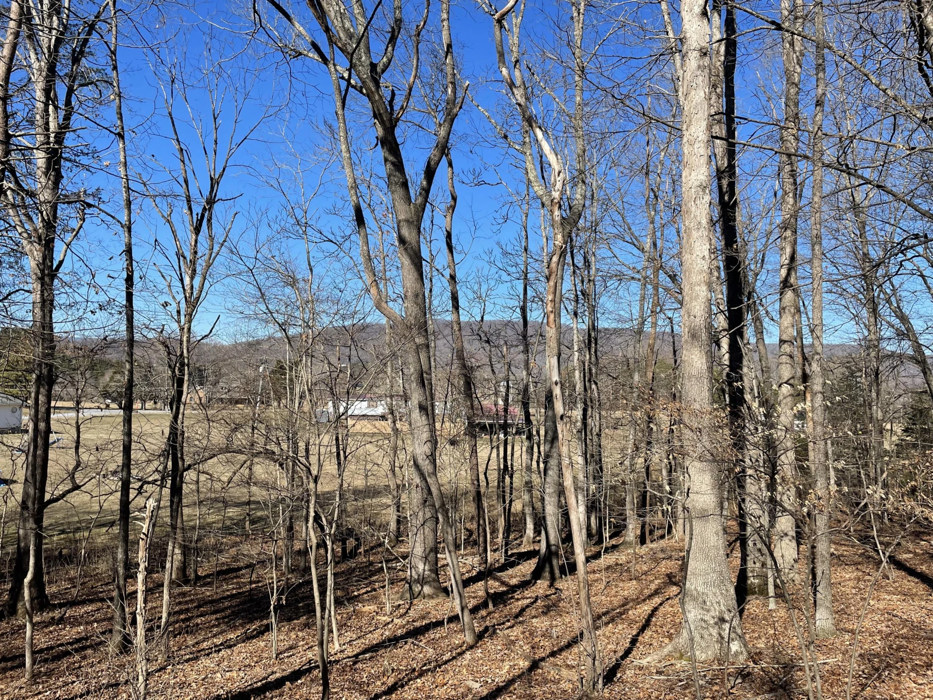 Lot 14 - Jeb Stuart Dr - Photo 2