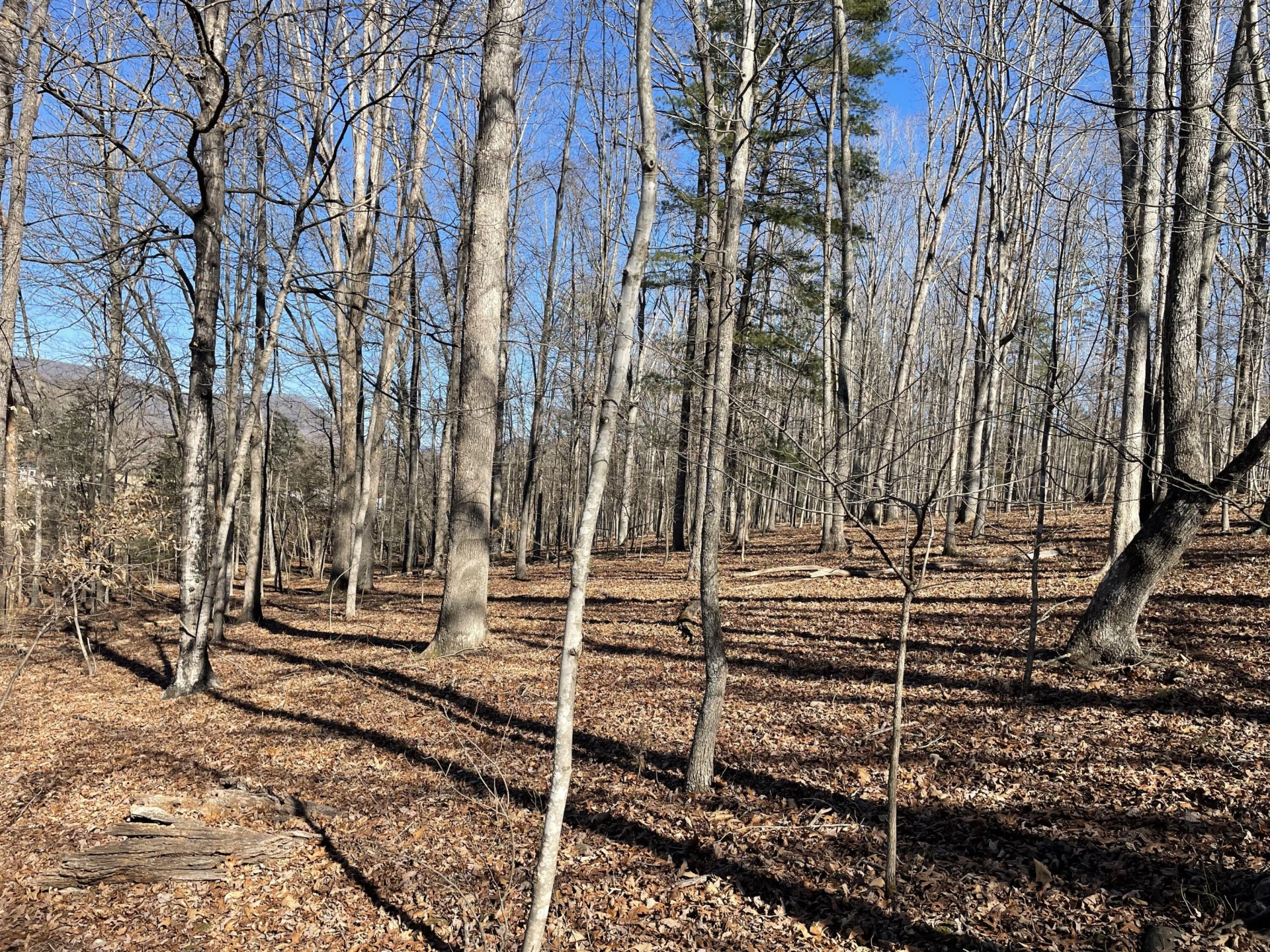 Lot 14 - Jeb Stuart Dr - Photo 3