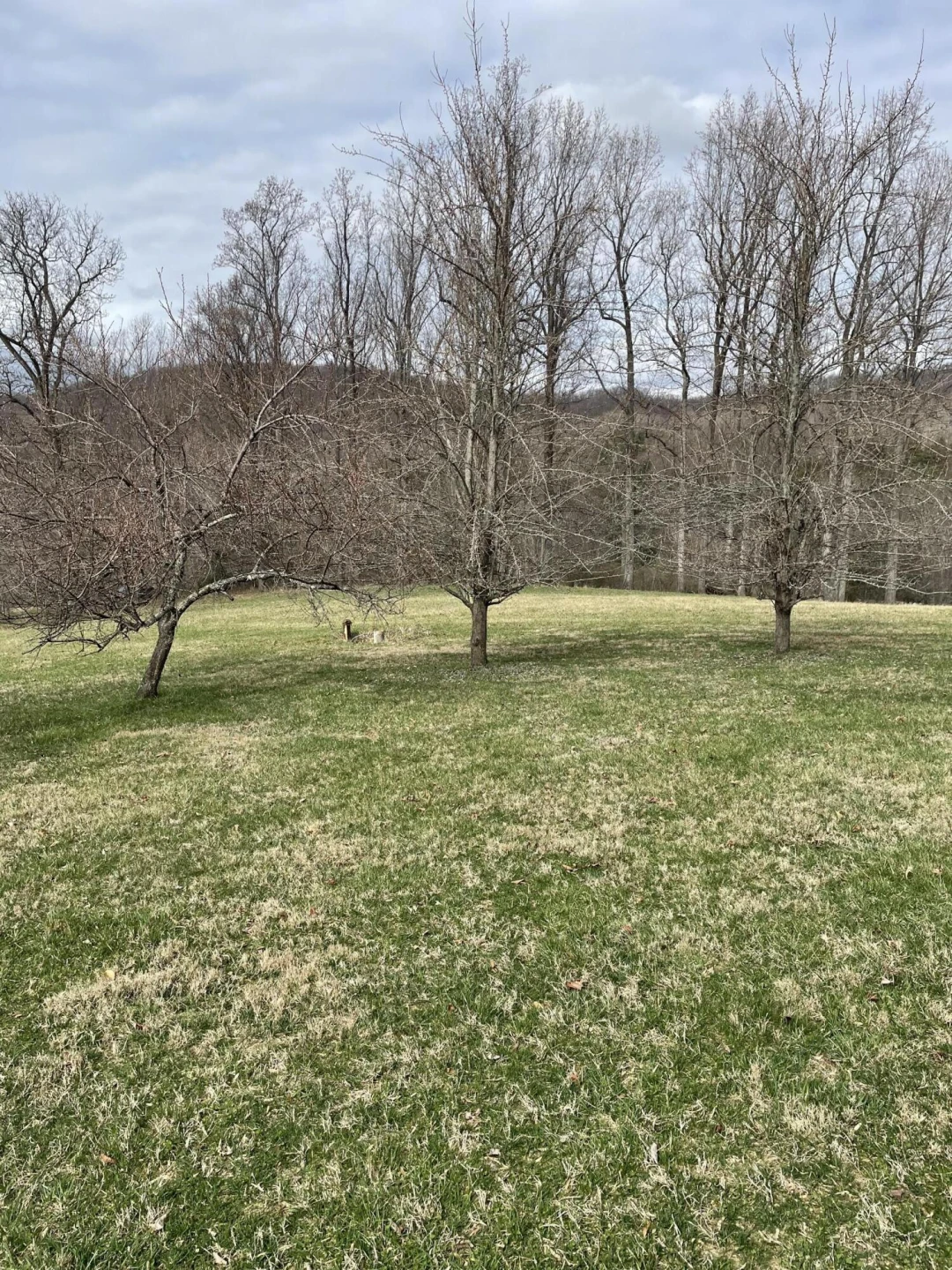 370 Old Chapel Rd - Photo 59