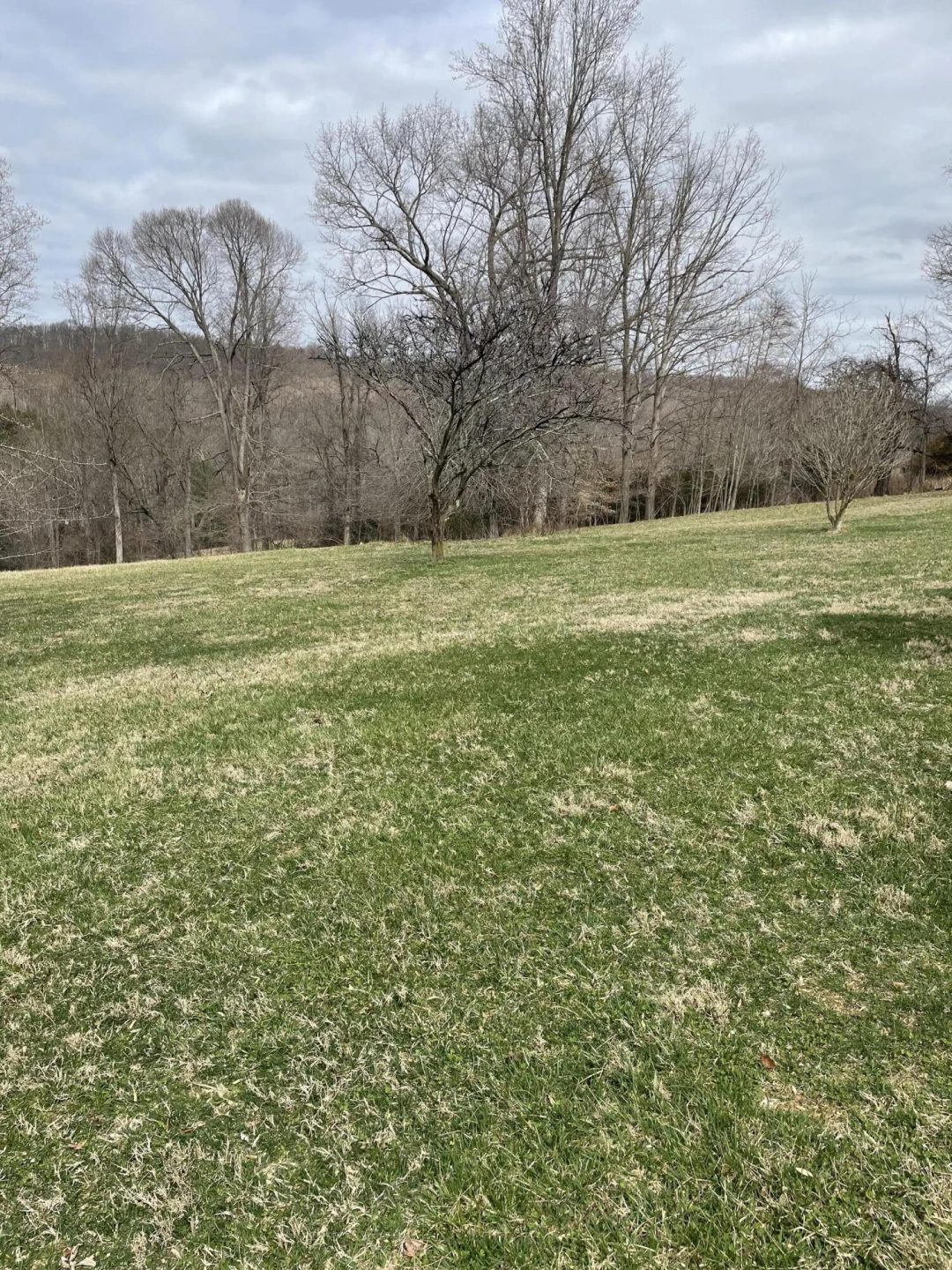 370 Old Chapel Rd - Photo 61