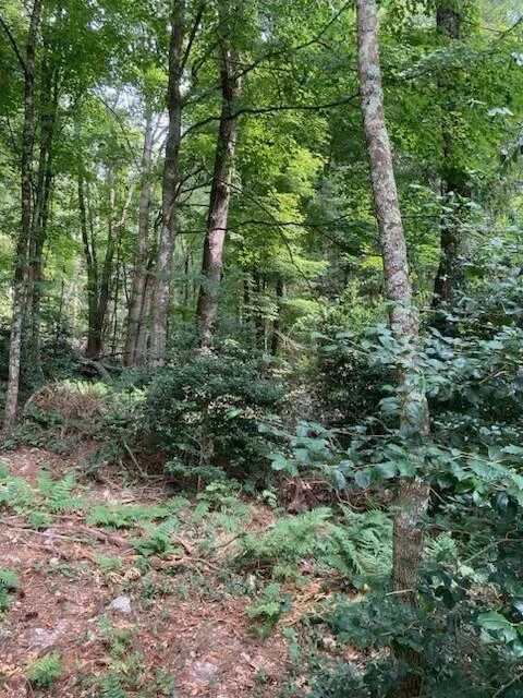 2286 Sam Snead Highway