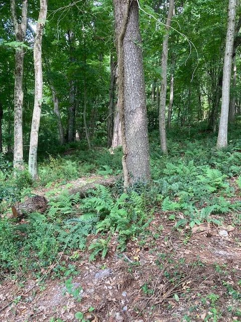 2286 Sam Snead Highway - Photo 3