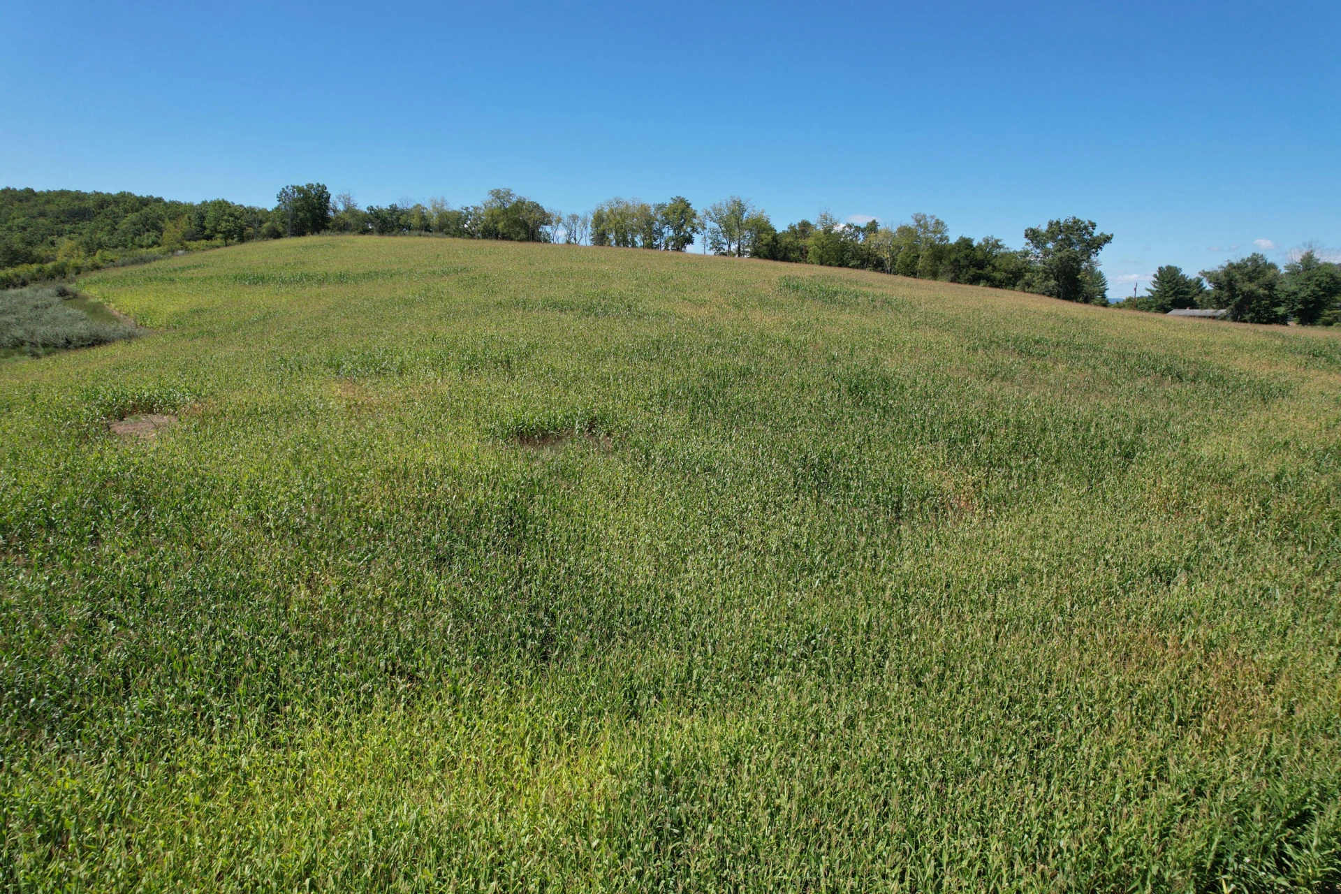 000 N Lee Highway - Photo 17