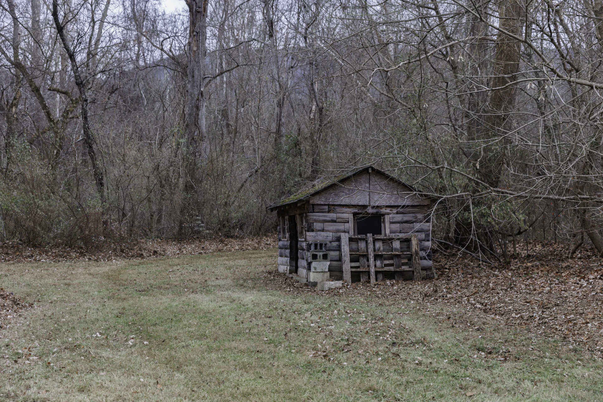 555 Arnolds Valley Rd - Photo 48
