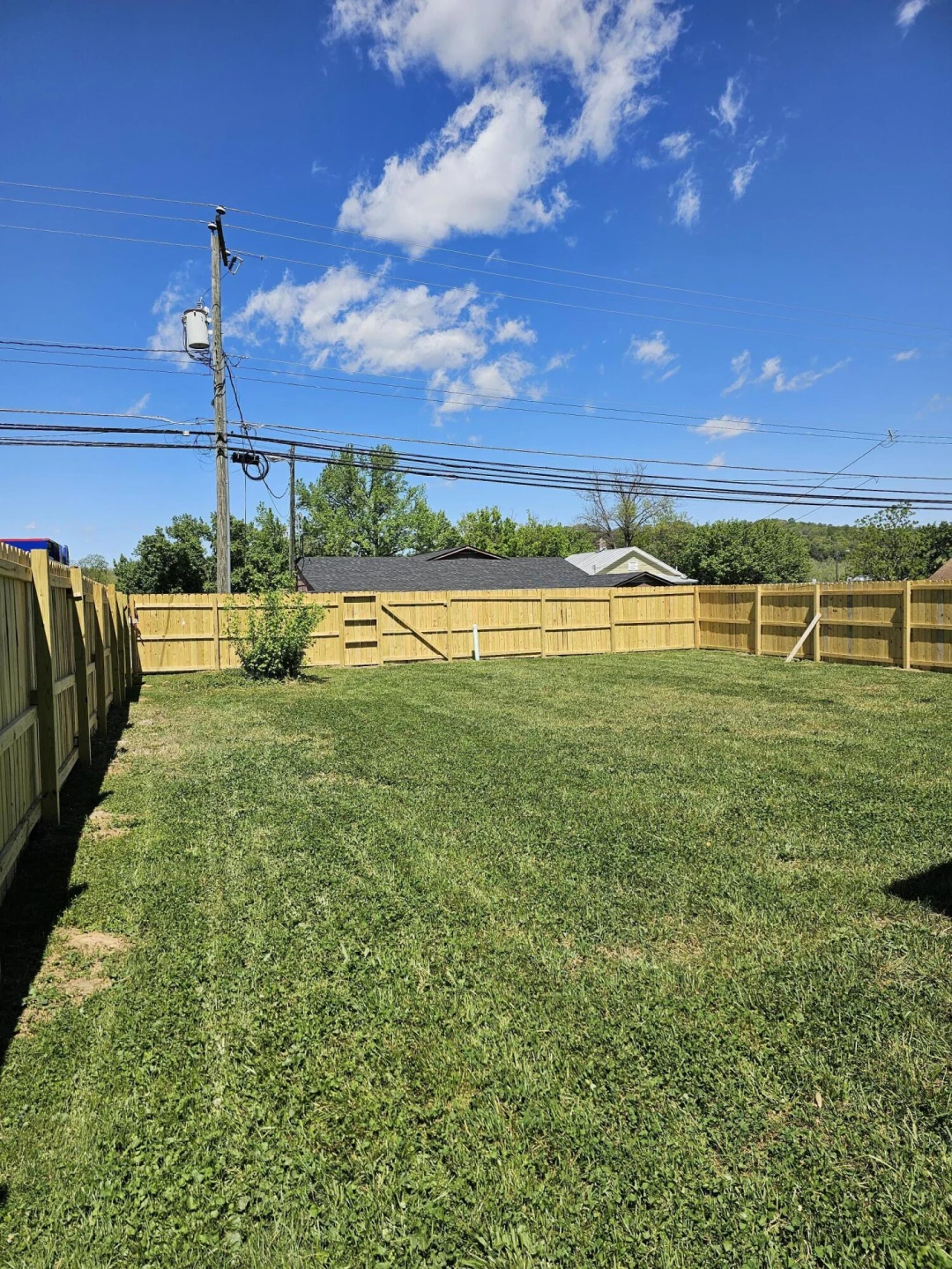 1035 Woodland Ave - Photo 3