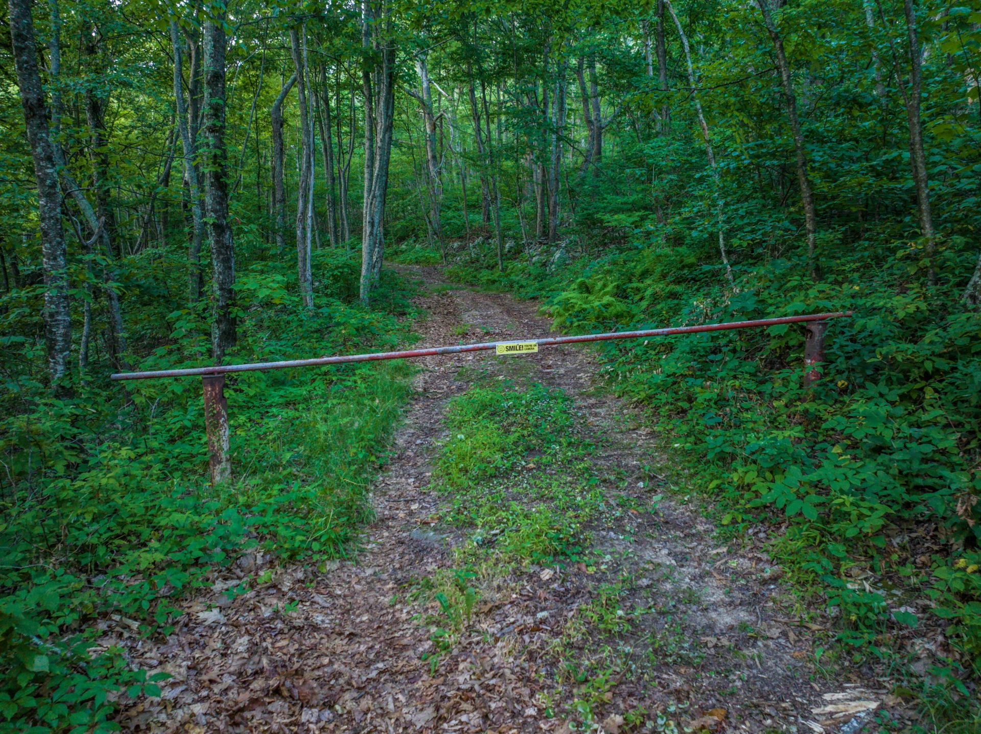 0 Top Rd - Photo 12