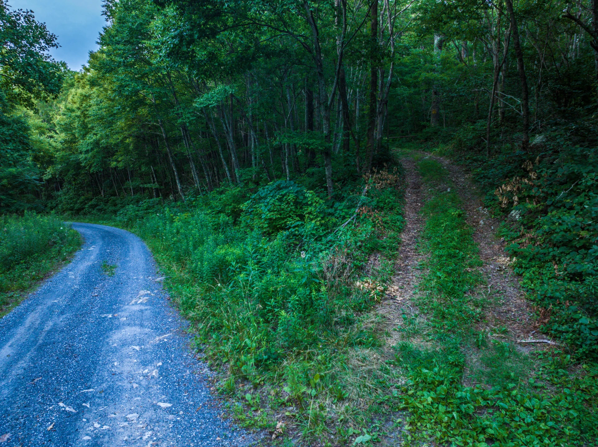 0 Top Rd - Photo 39
