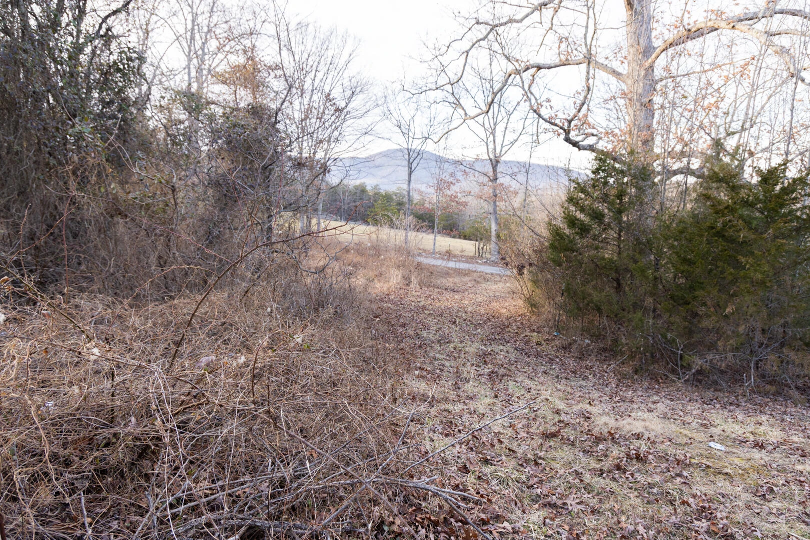 1603/1605 Summit Dr - Photo 15
