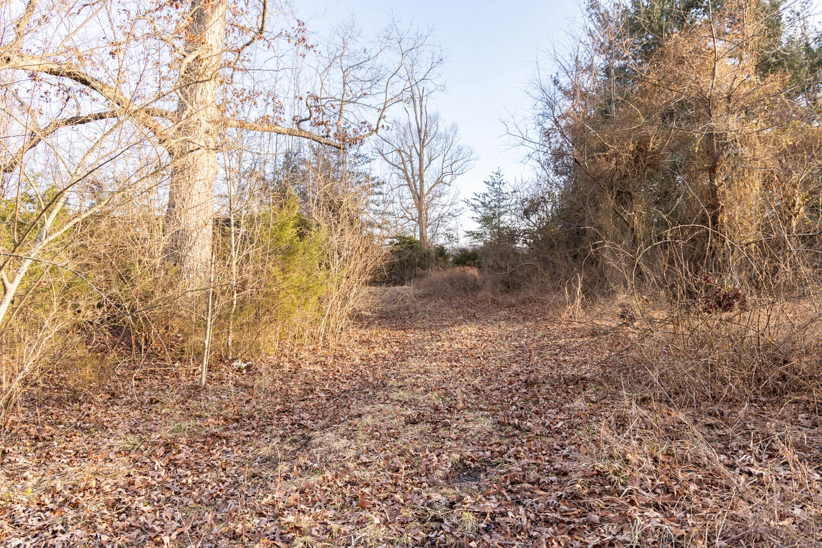 1603/1605 Summit Dr - Photo 16