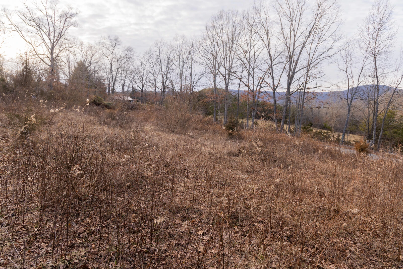 1603/1605 Summit Dr - Photo 3