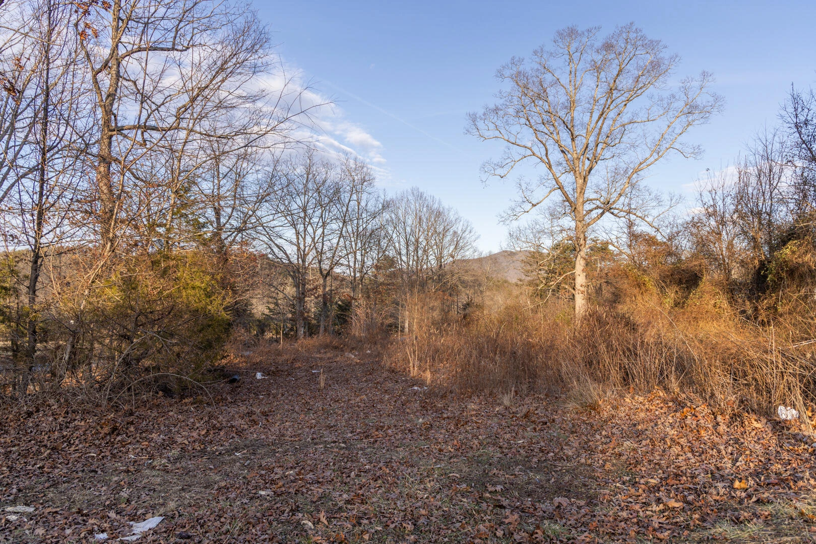 1603/1605 Summit Dr - Photo 4